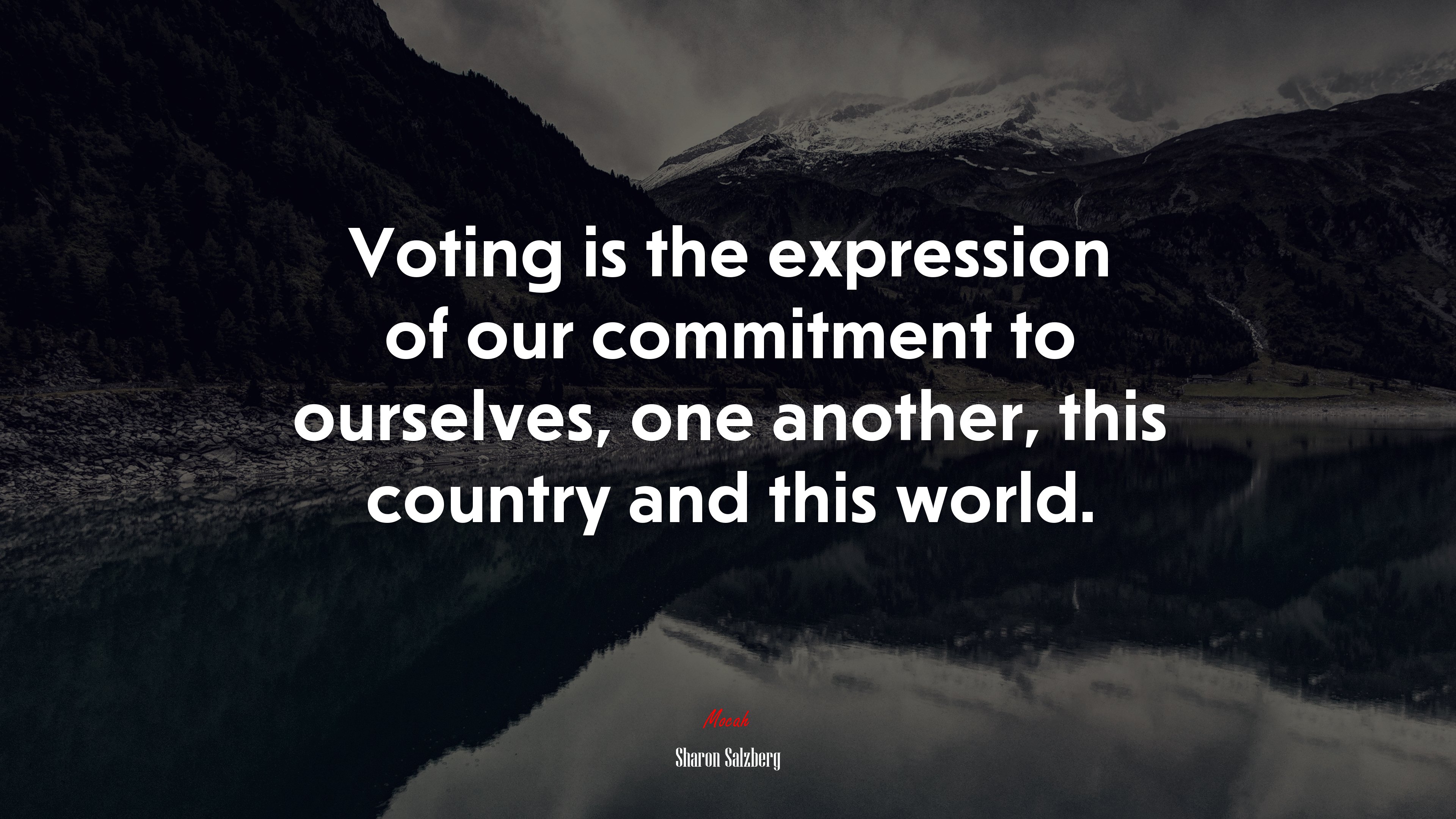 Voting is the expression of our commitment to ourselves, one another, this country and this world. | Sharon Salzberg quote HD Wallpaper