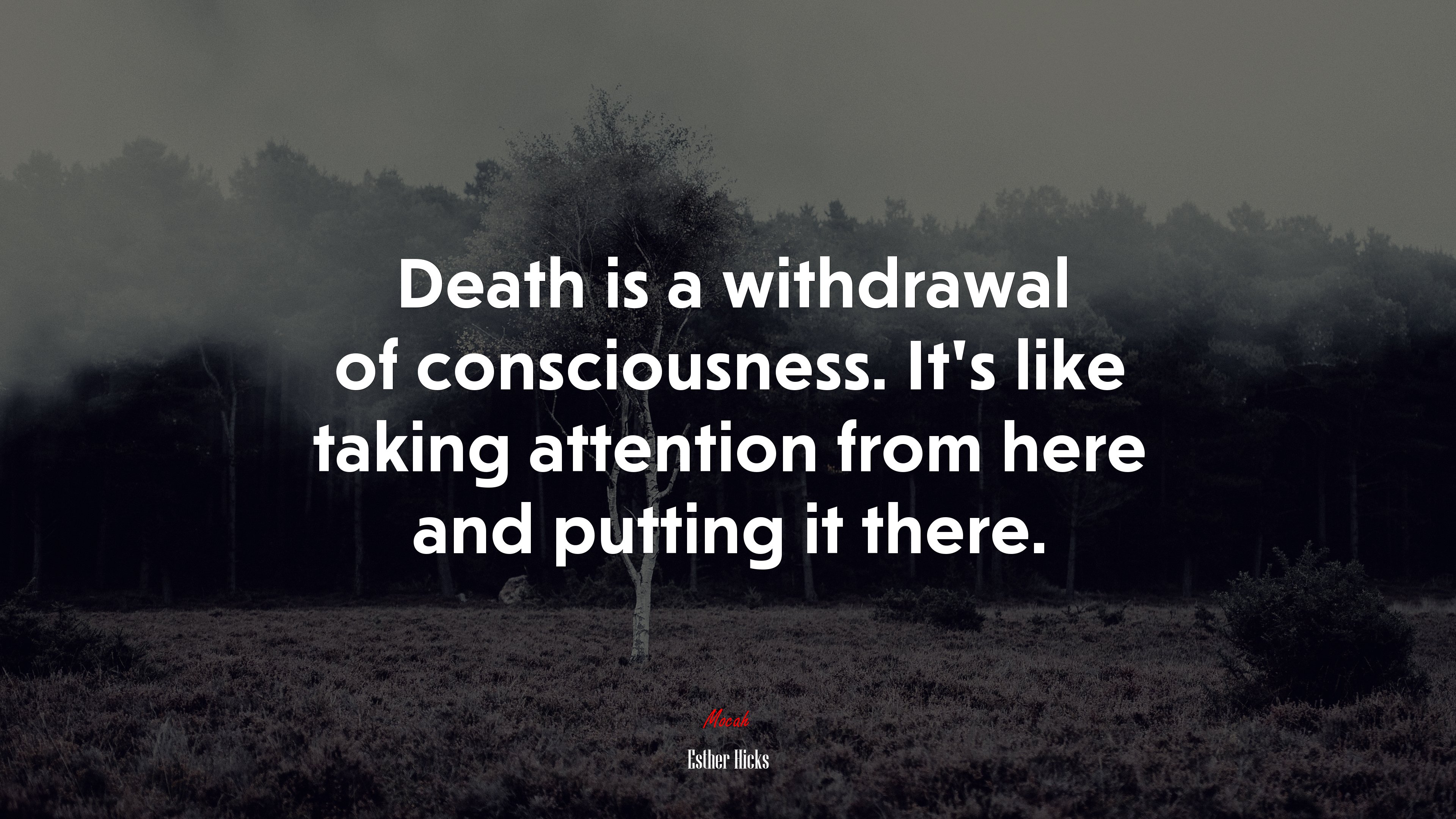 Death is a withdrawal of consciousness. It’s like taking attention from here and putting it there. | Esther Hicks quote HD Wallpaper