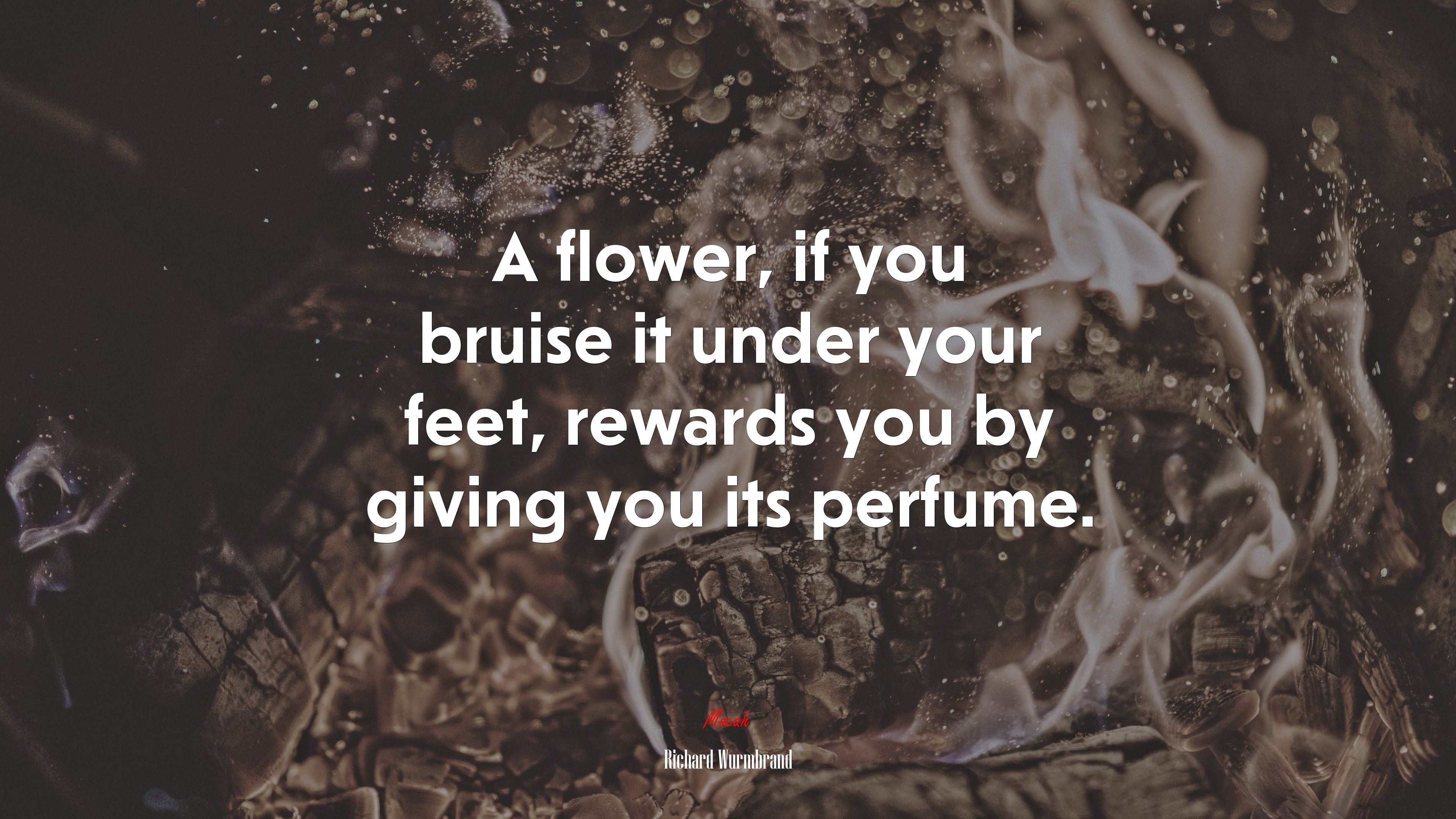 A flower, if you bruise it under your feet, rewards you by giving you its perfume. | Richard Wurmbrand quote HD Wallpaper