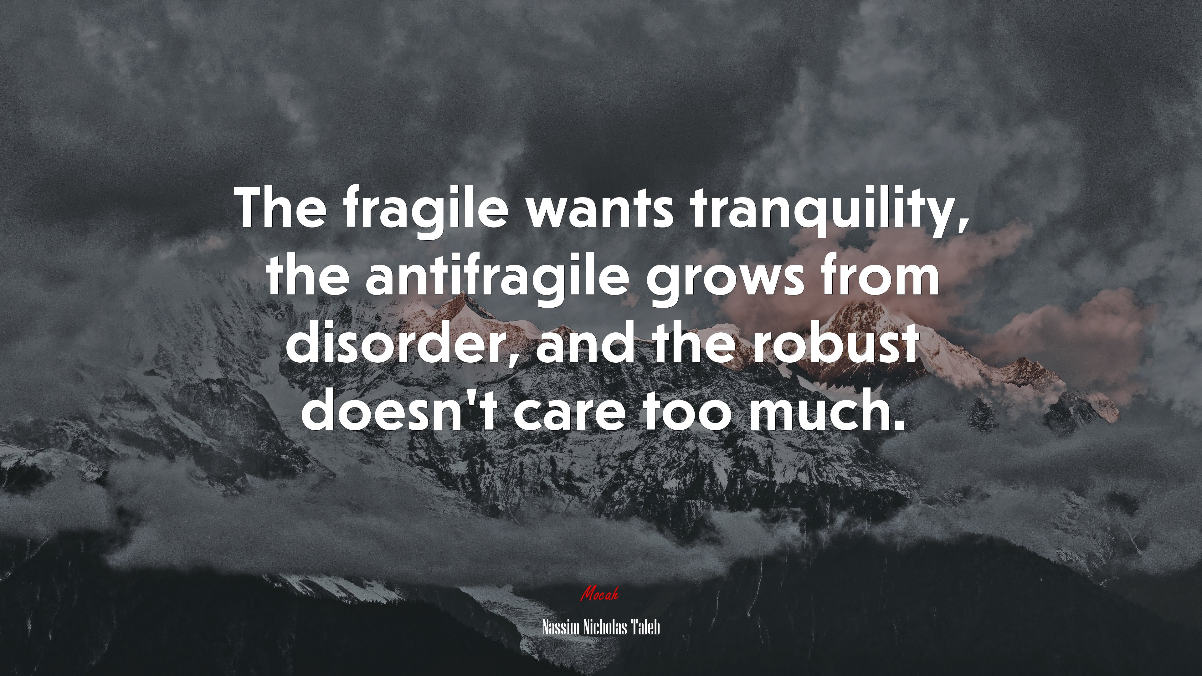 The fragile wants tranquility, the antifragile grows from disorder, and the robust doesn’t care too much. | Nassim Nicholas Taleb quote HD Wallpaper