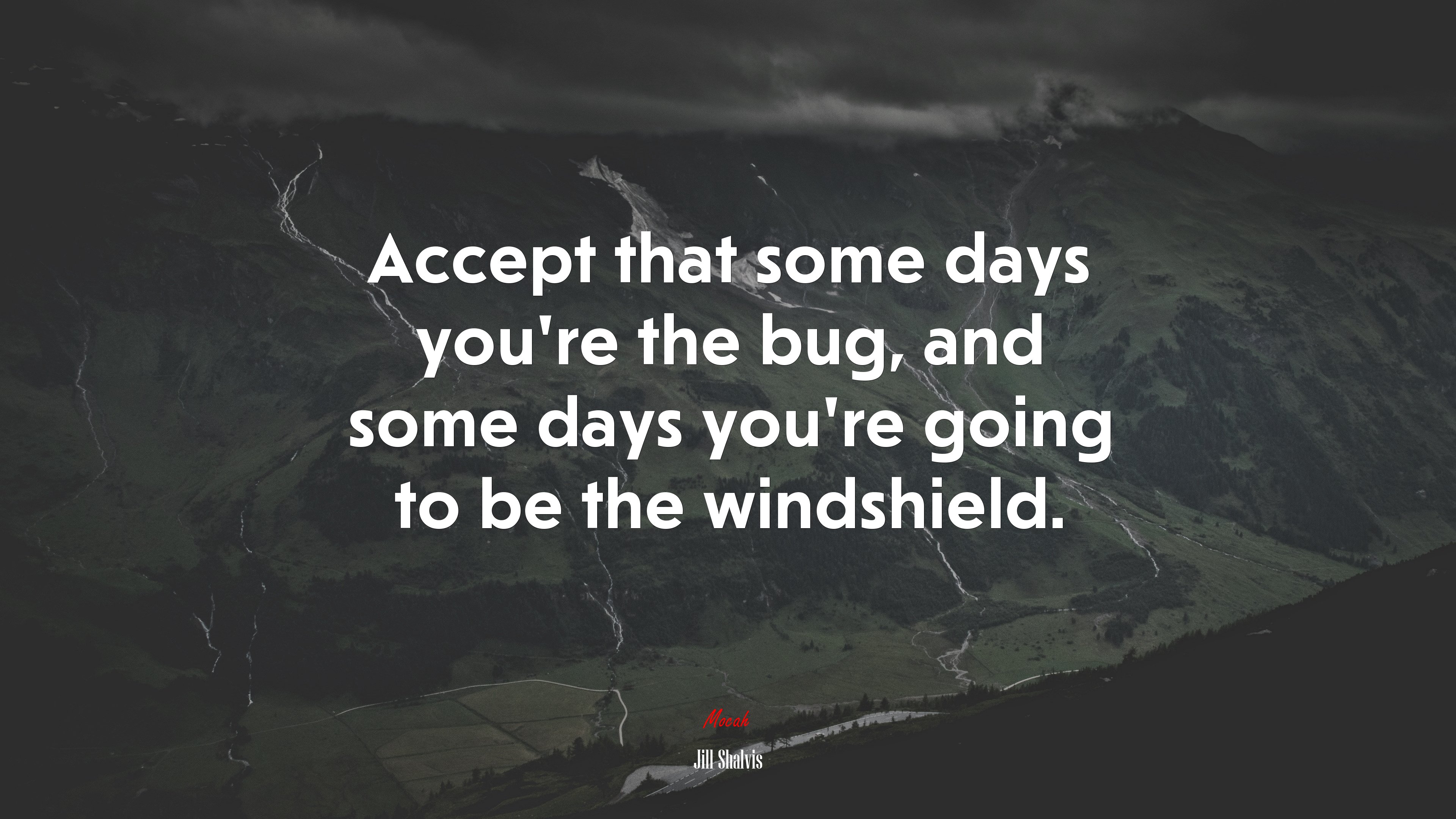 Accept that some days you’re the bug, and some days you’re going to be the windshield. | Jill Shalvis quote HD Wallpaper