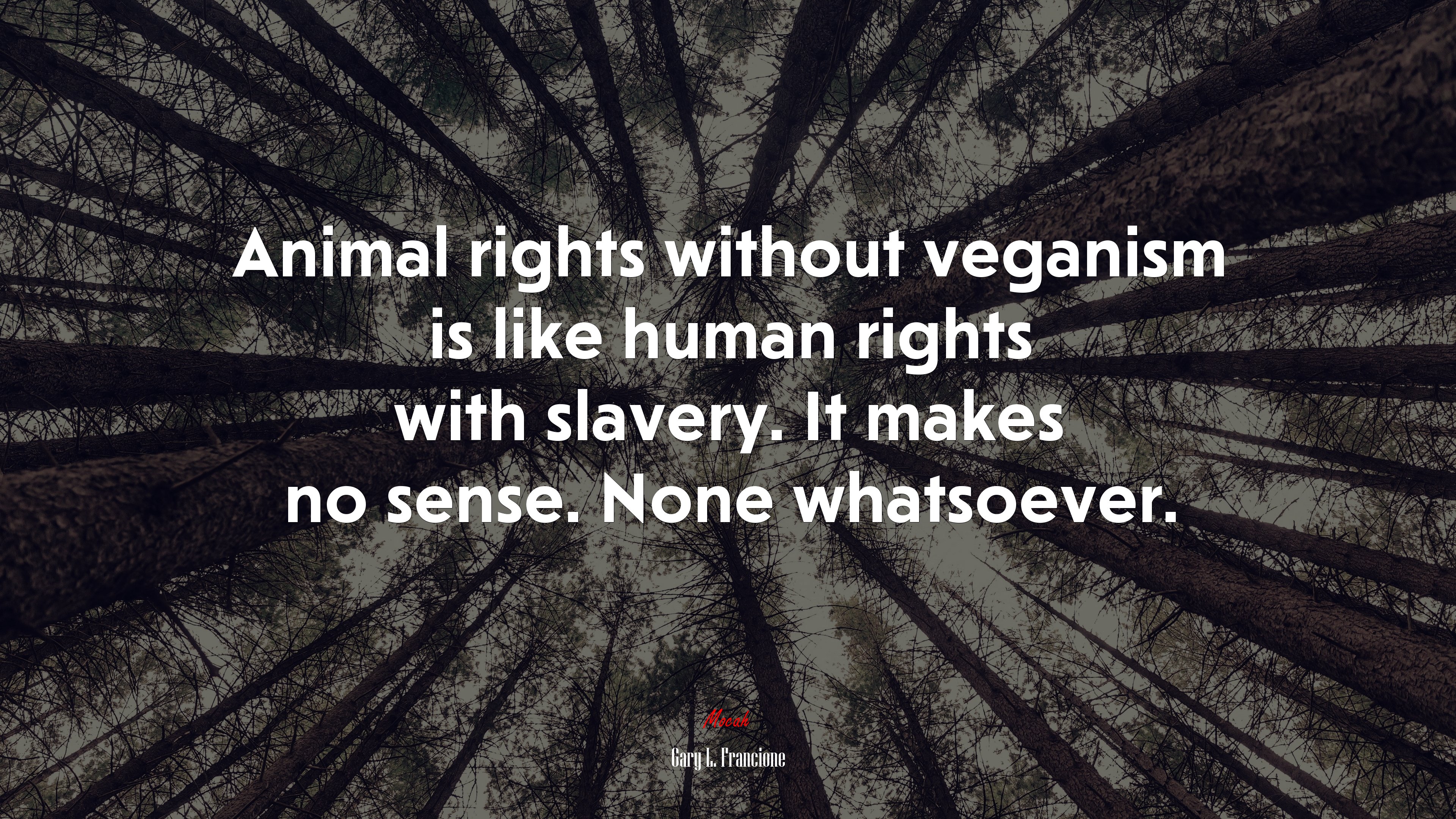 Animal rights without veganism is like human rights with slavery. It makes no sense. None whatsoever. | Gary L. Francione quote HD Wallpaper