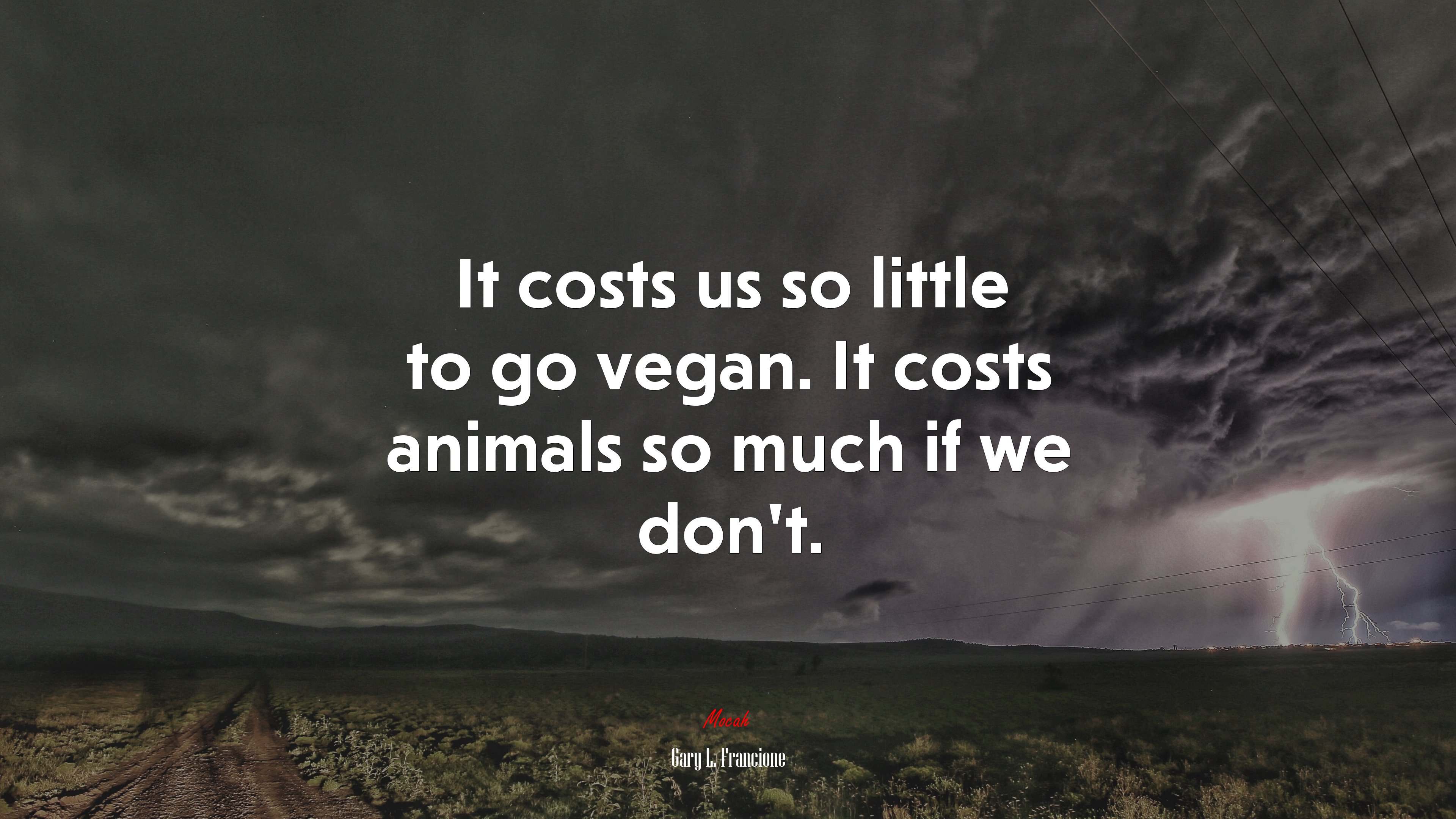It costs us so little to go vegan. It costs animals so much if we don’t. | Gary L. Francione quote HD Wallpaper