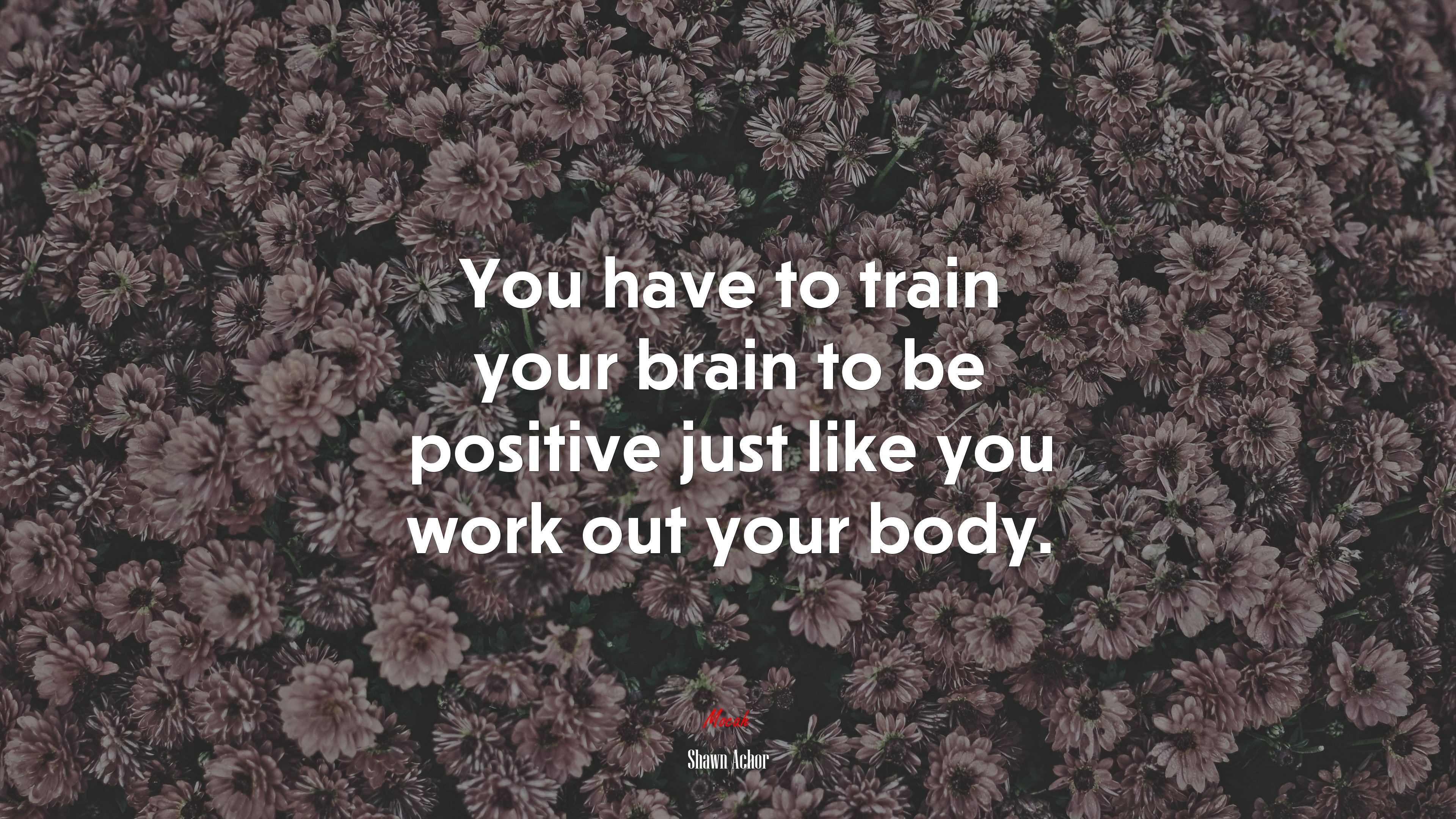 You have to train your brain to be positive just like you work out your body. | Shawn Achor quote HD Wallpaper
