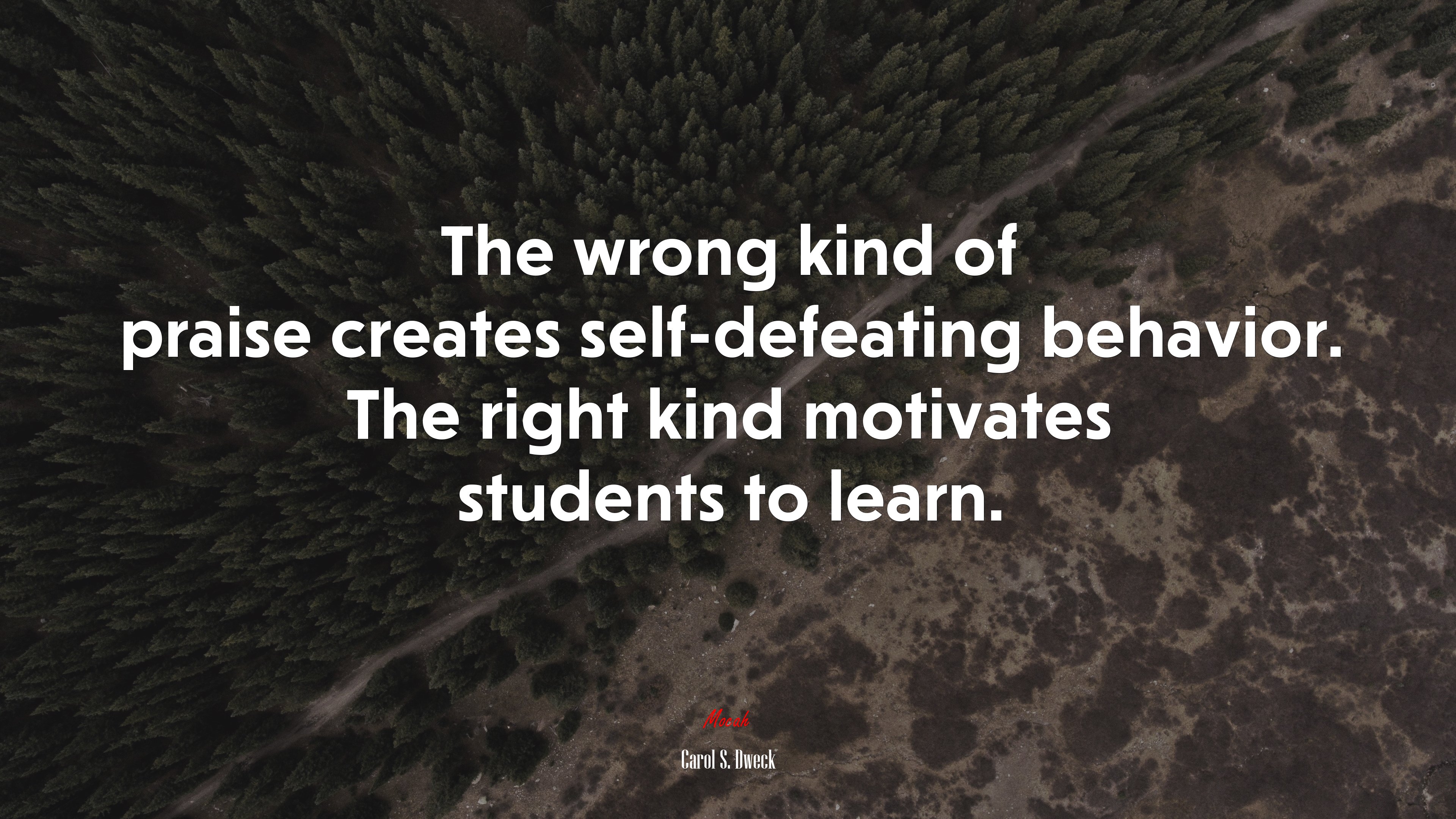 The wrong kind of praise creates self-defeating behavior. The right kind motivates students to learn. | Carol S. Dweck quote HD Wallpaper
