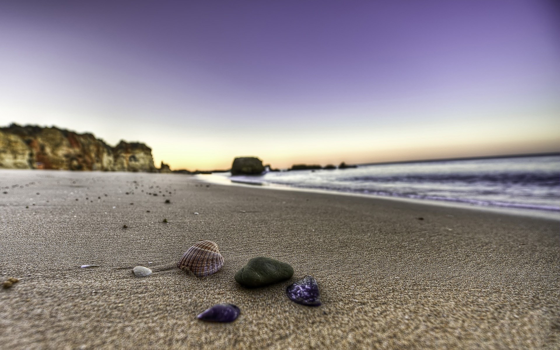 Beach at sunset with shells and rocks HD Wallpaper