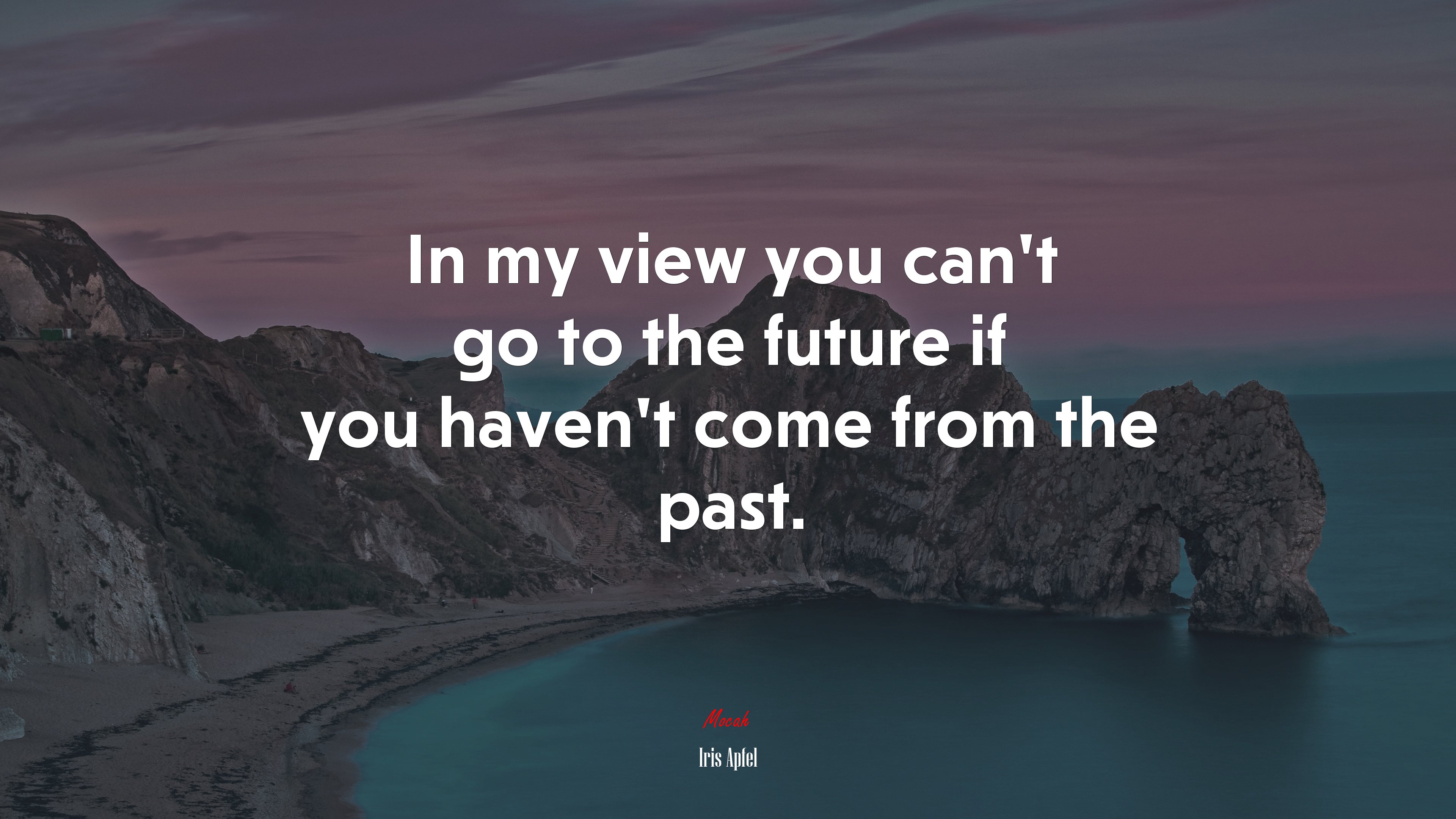 In my view you can’t go to the future if you haven’t come from the past. | Iris Apfel quote HD Wallpaper