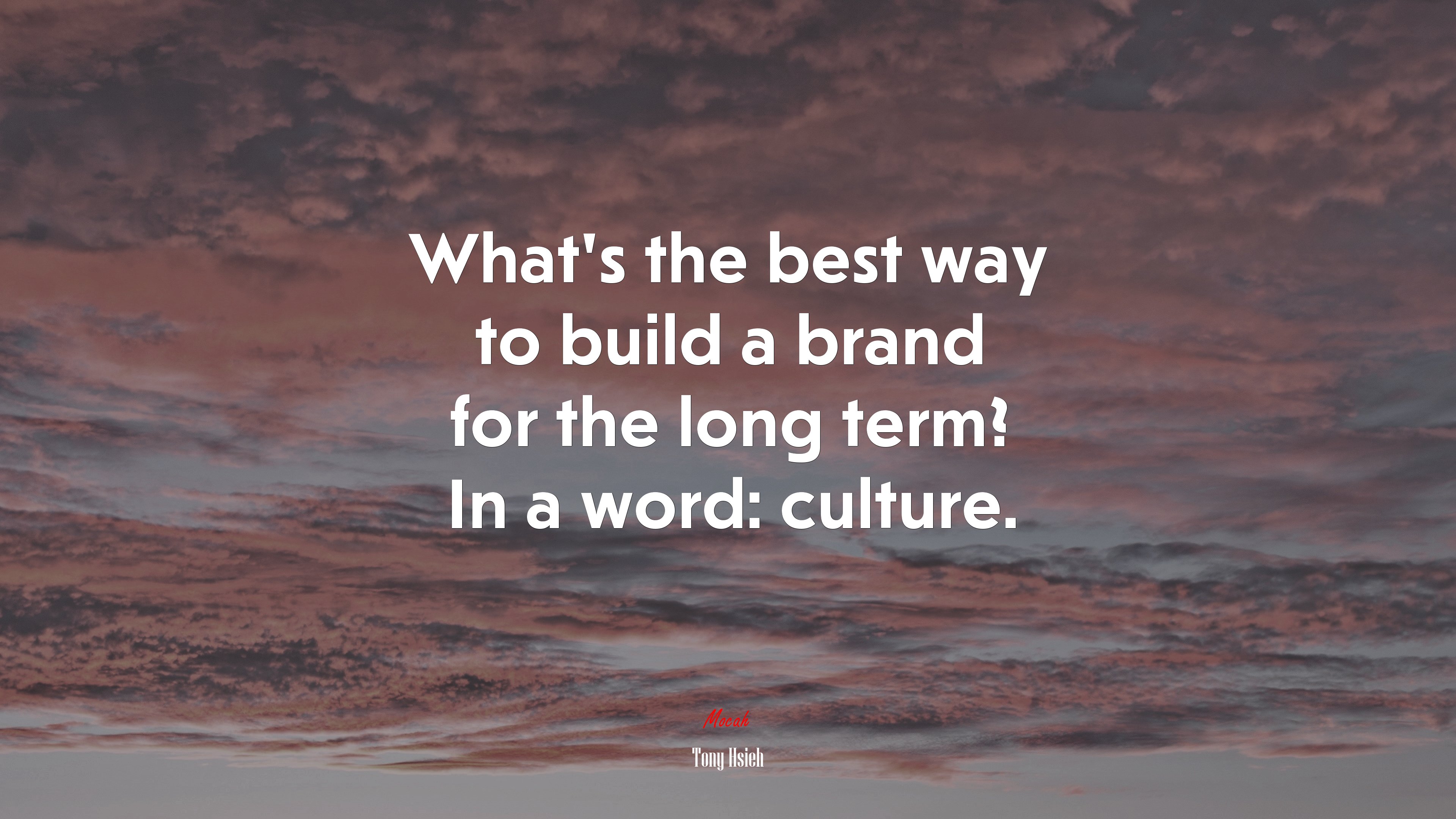 What’s the best way to build a brand for the long term? In a word: culture. | Tony Hsieh quote HD Wallpaper