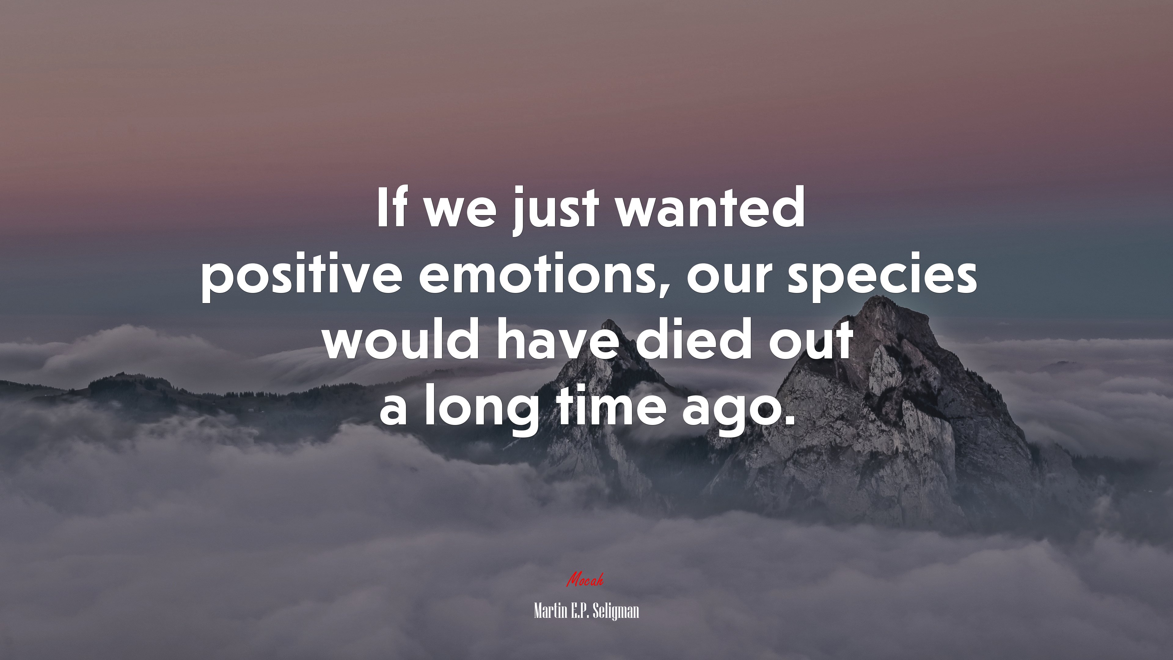 If we just wanted positive emotions, our species would have died out a long time ago. | Martin E.P. Seligman quote HD Wallpaper