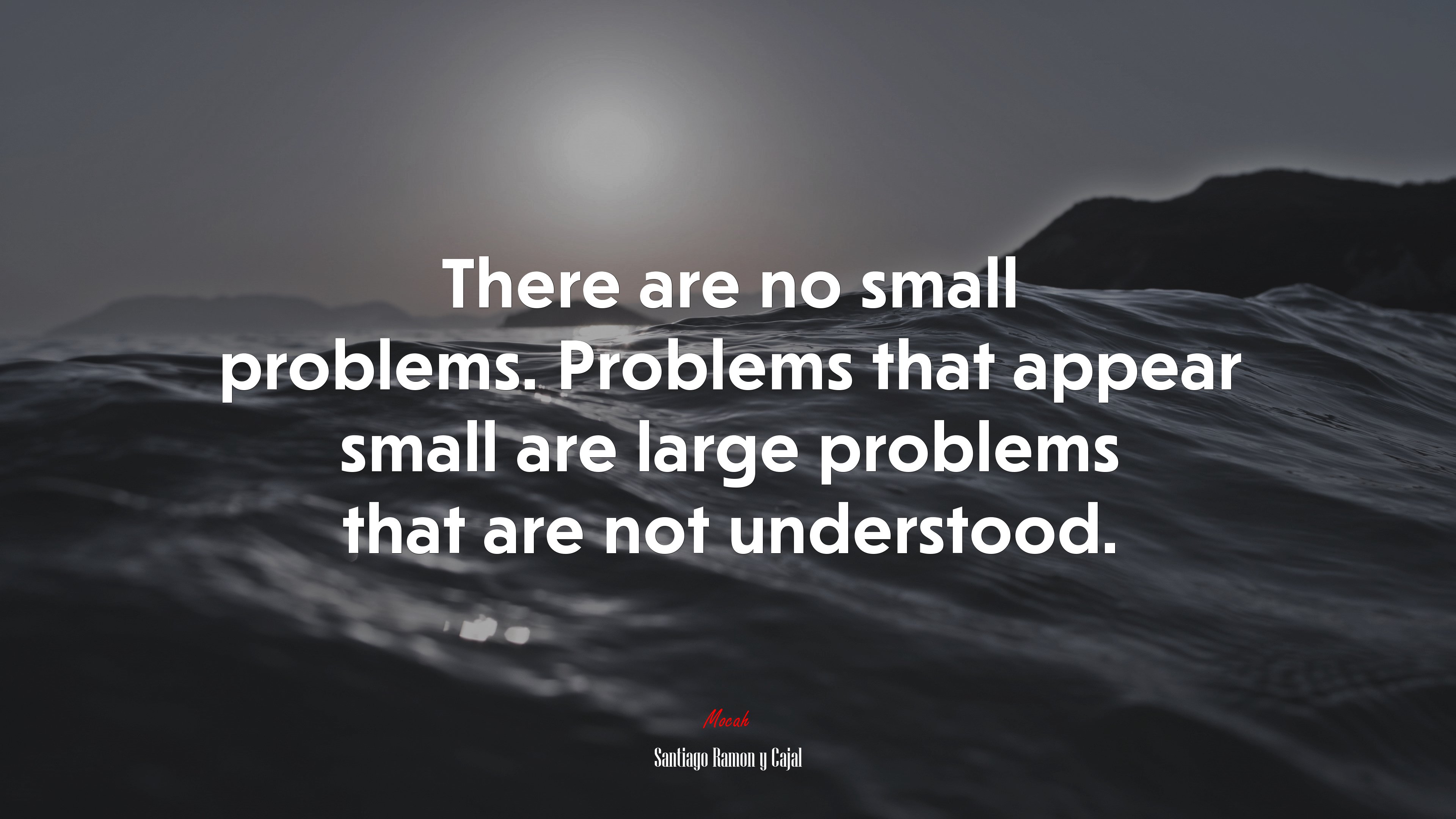 There are no small problems. Problems that appear small are large problems that are not understood. | Santiago Ramón y Cajal quote HD Wallpaper