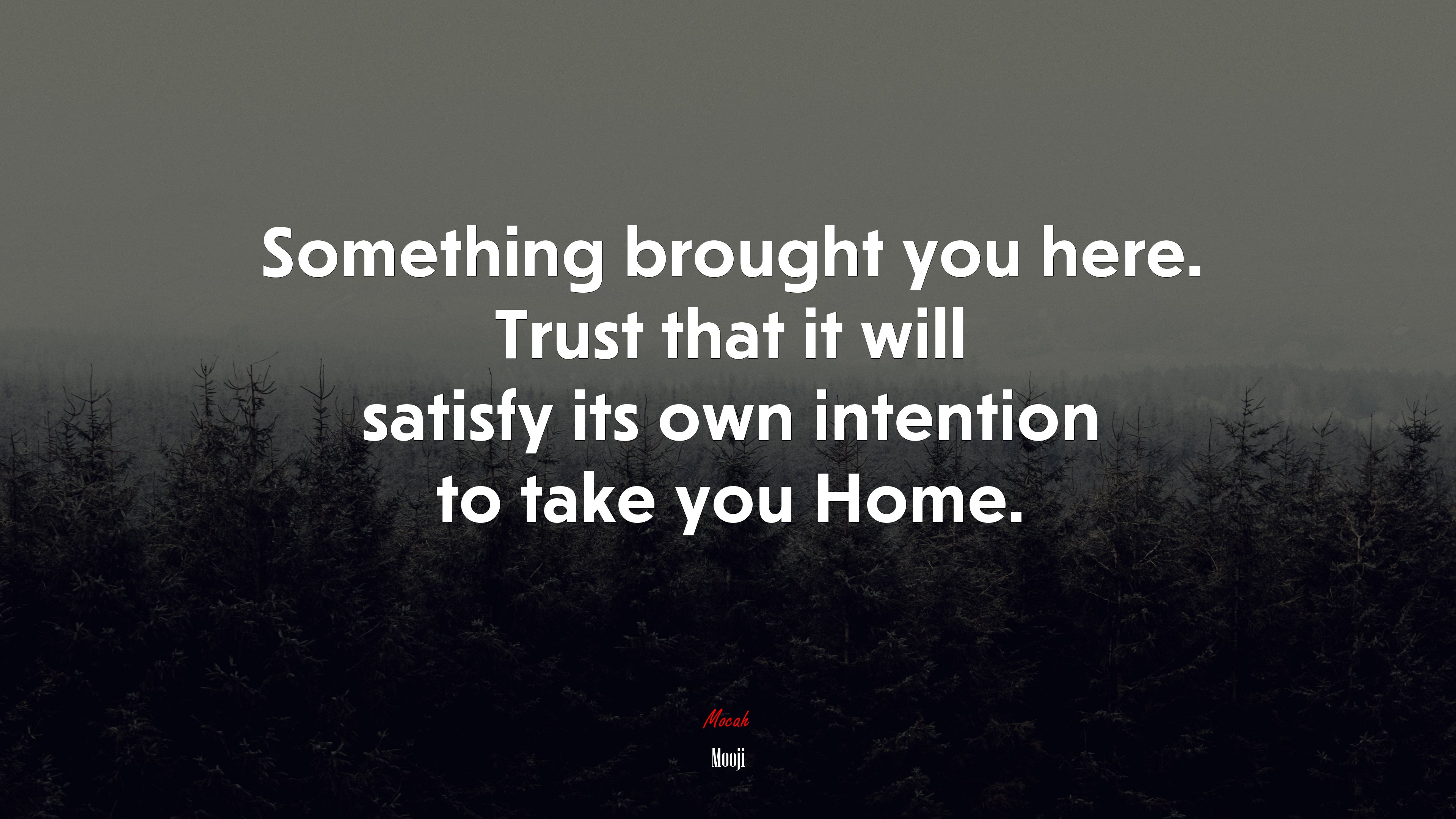 Something brought you here. Trust that it will satisfy its own intention to take you Home. | Mooji quote HD Wallpaper
