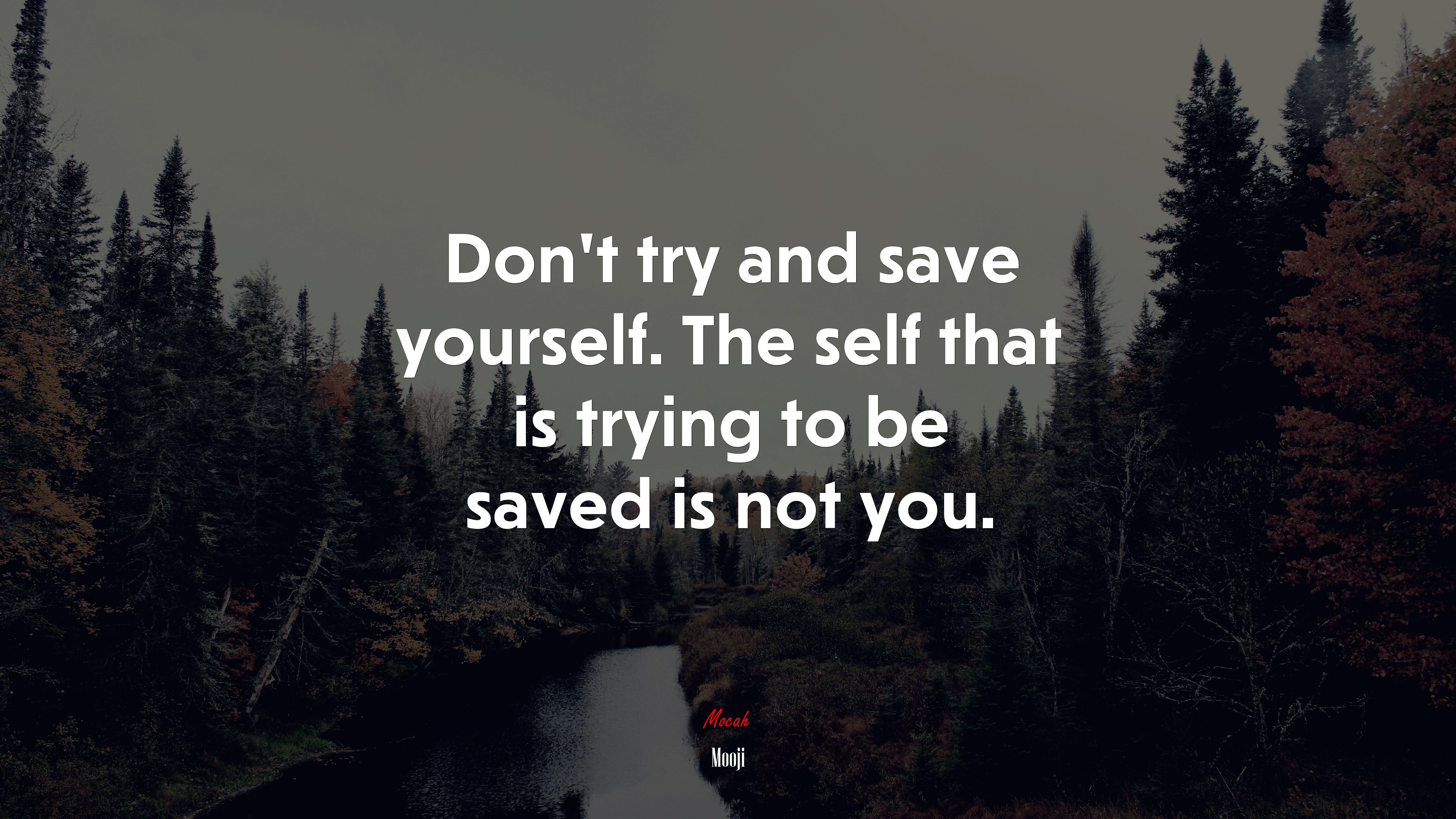 Don’t try and save yourself. The self that is trying to be saved is not you. | Mooji quote HD Wallpaper