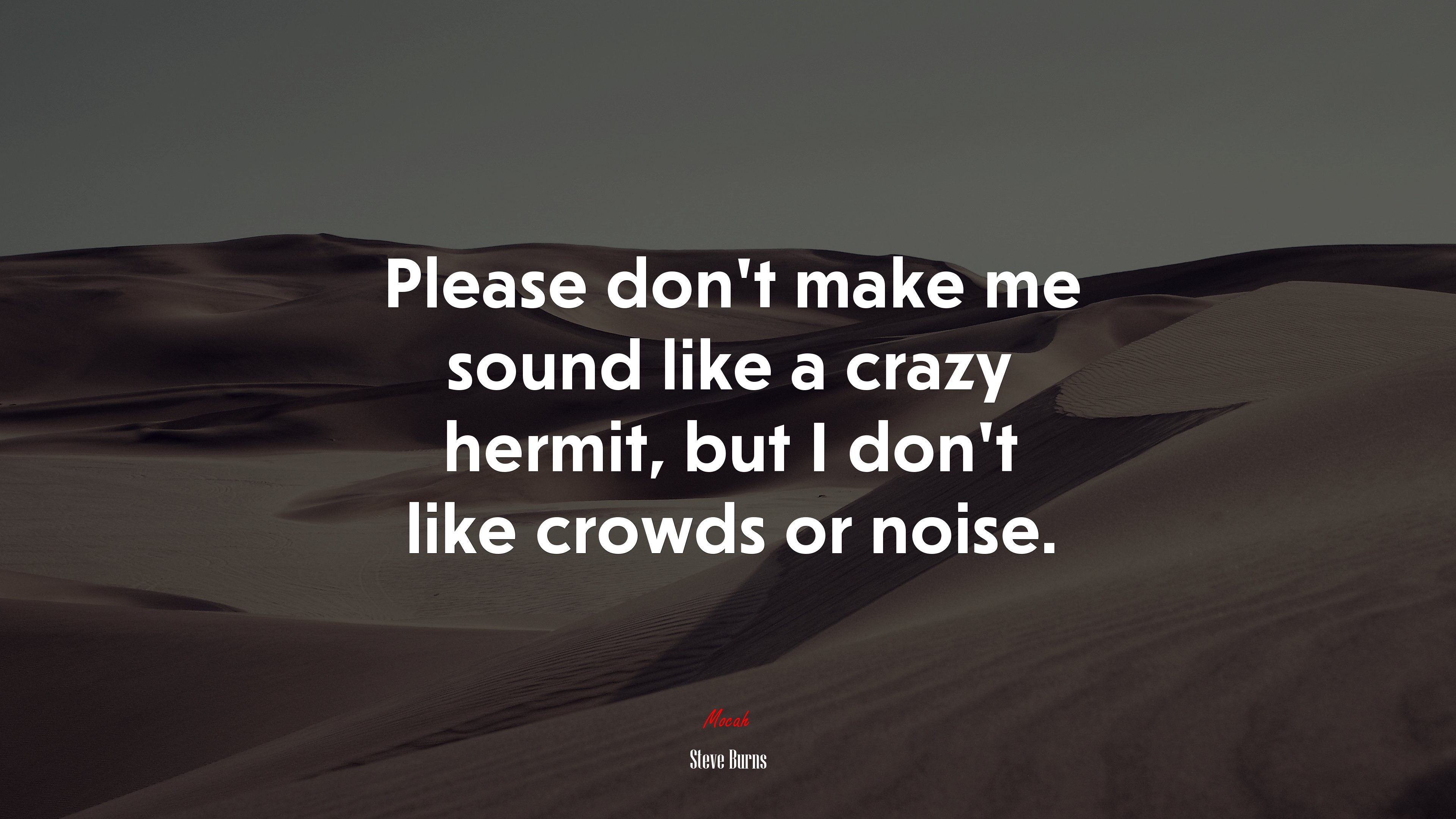 Please don’t make me sound like a crazy hermit, but I don’t like crowds or noise. | Steve Burns quote HD Wallpaper