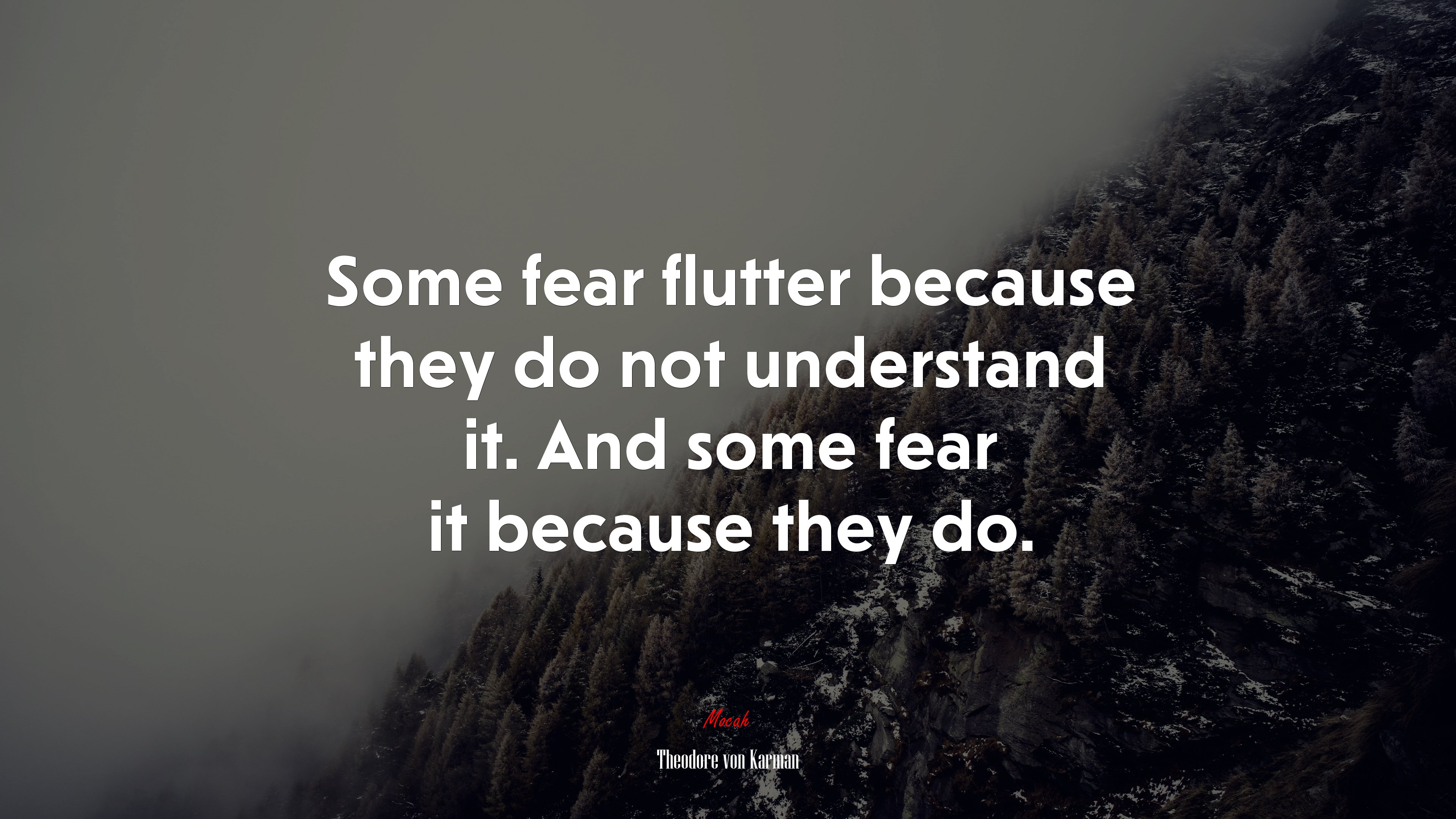 Some fear flutter because they do not understand it. And some fear it because they do. | Theodore von Karman quote HD Wallpaper