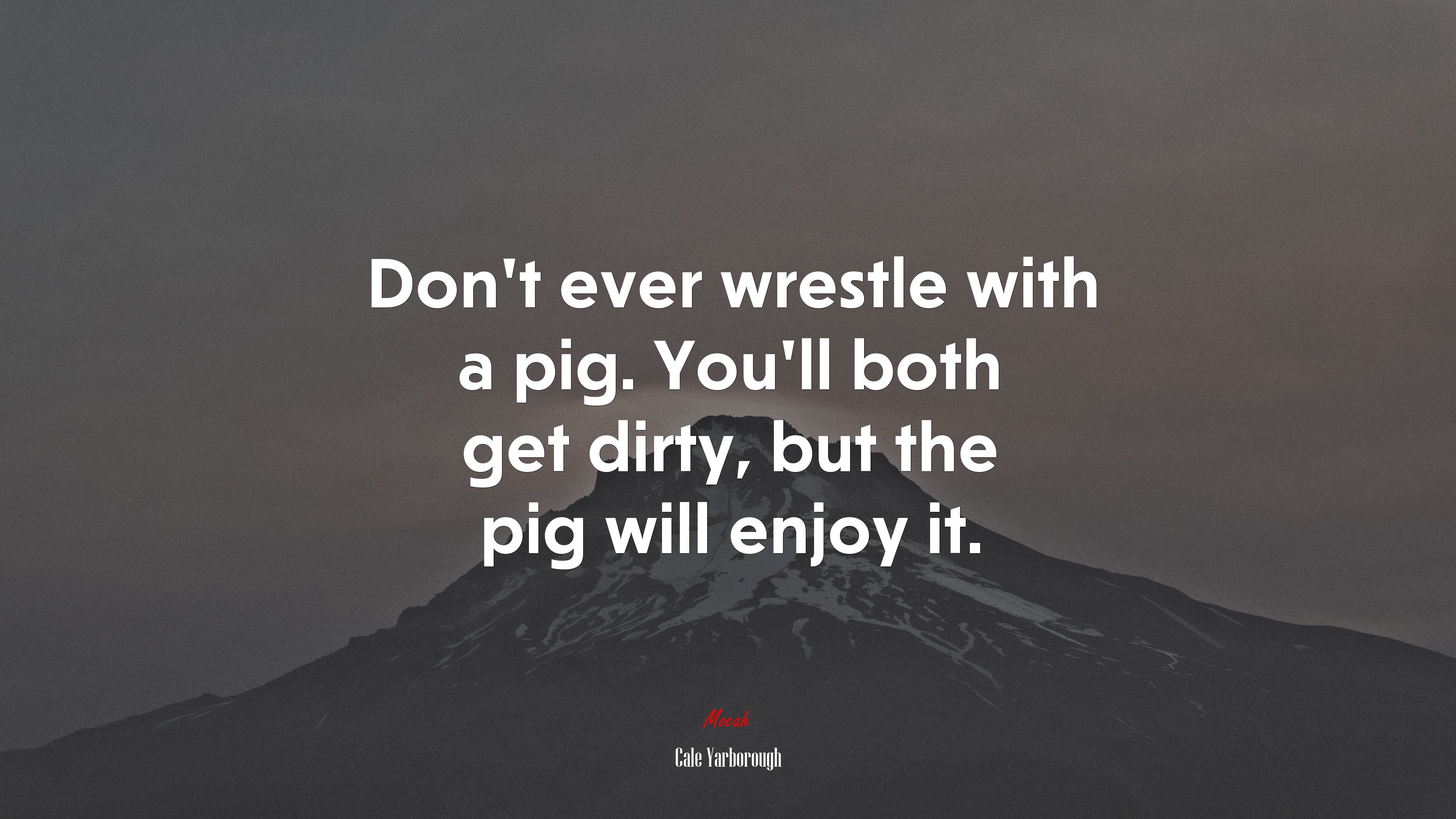 Don’t ever wrestle with a pig. You’ll both get dirty, but the pig will enjoy it. | Cale Yarborough quote HD Wallpaper