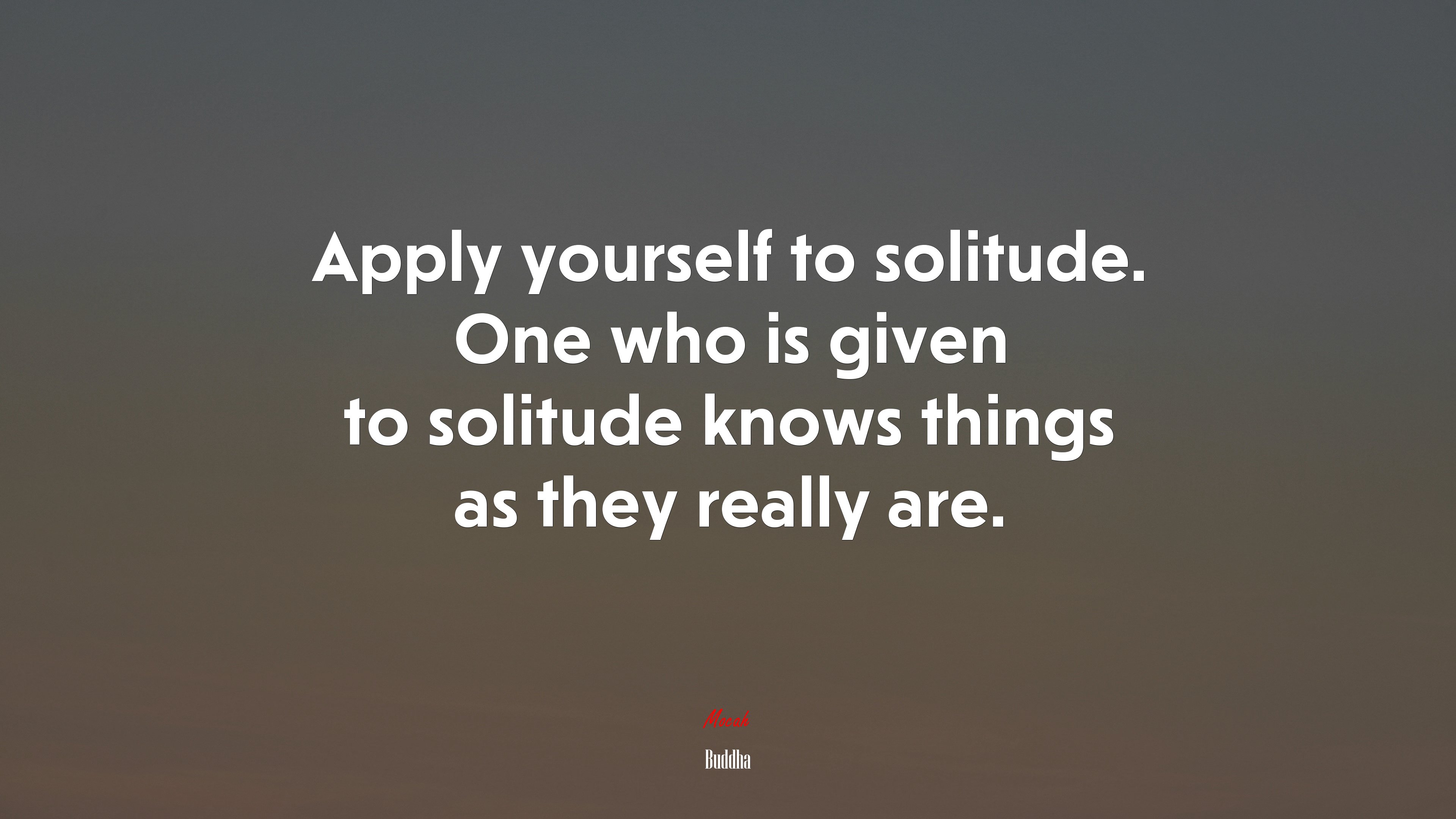 Apply yourself to solitude. One who is given to solitude knows things as they really are. | Buddha quote HD Wallpaper