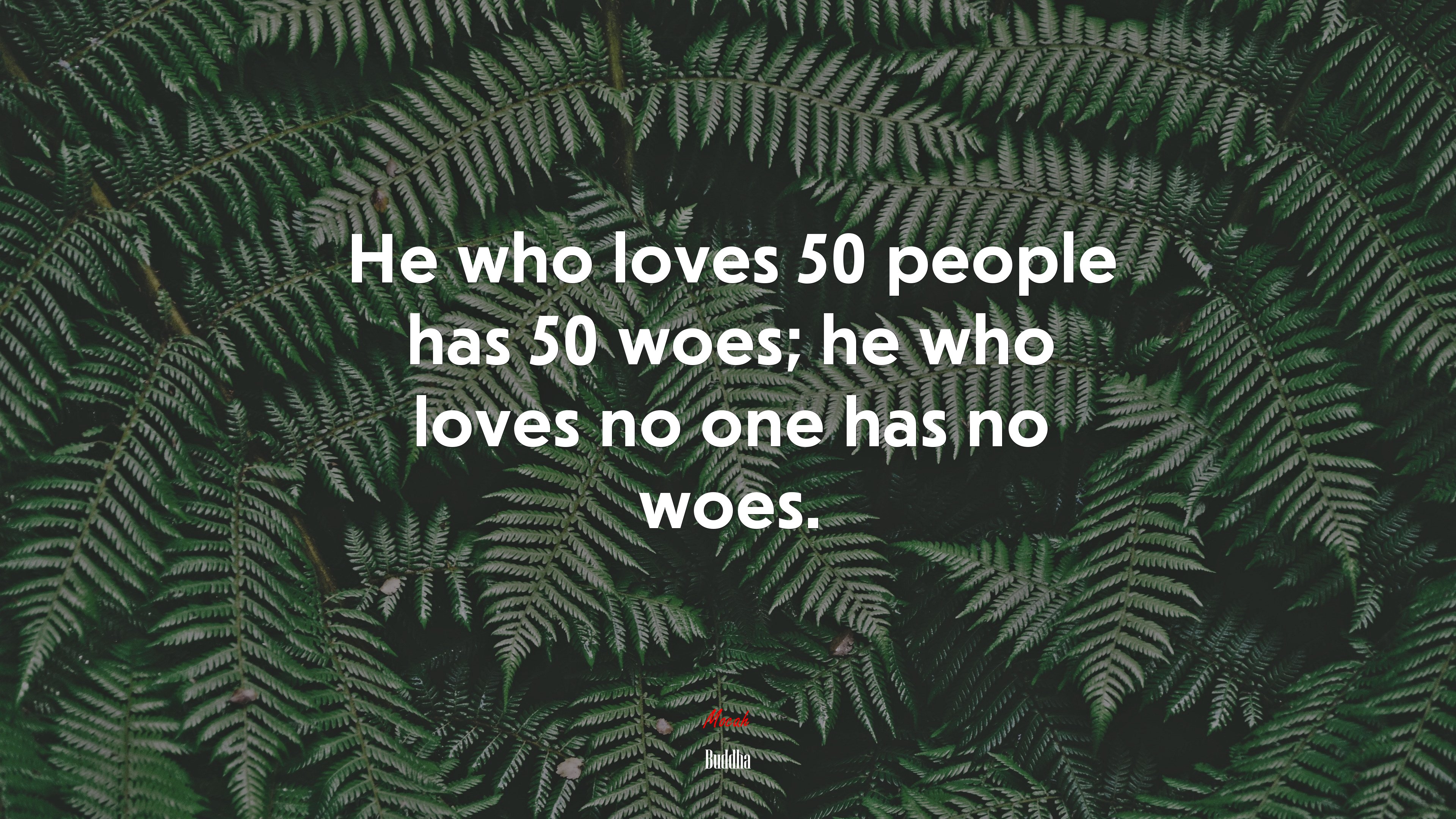 He who loves 50 people has 50 woes; he who loves no one has no woes. | Buddha quote HD Wallpaper