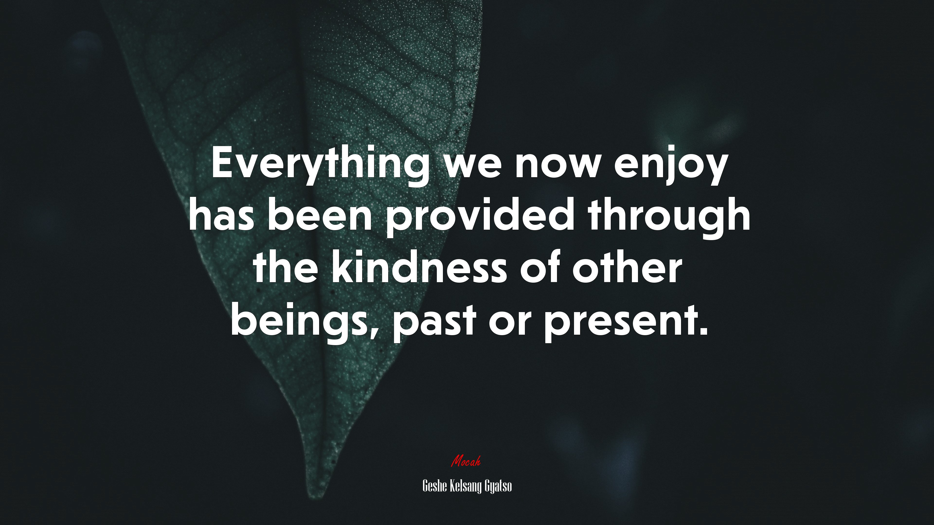 Everything we now enjoy has been provided through the kindness of other beings, past or present. | Geshe Kelsang Gyatso quote HD Wallpaper