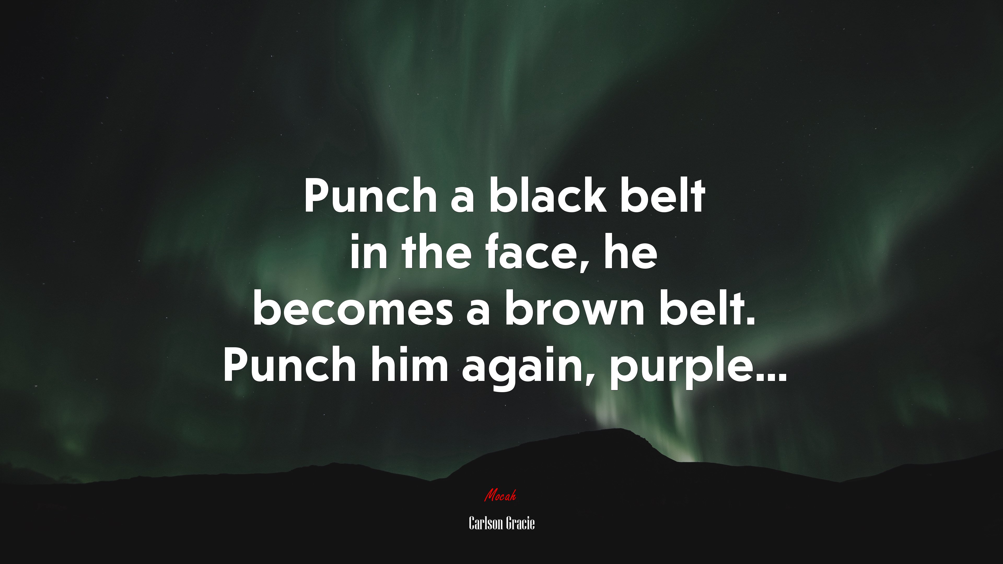 Punch a black belt in the face, he becomes a brown belt. Punch him again, purple... | Carlson Gracie quote HD Wallpaper