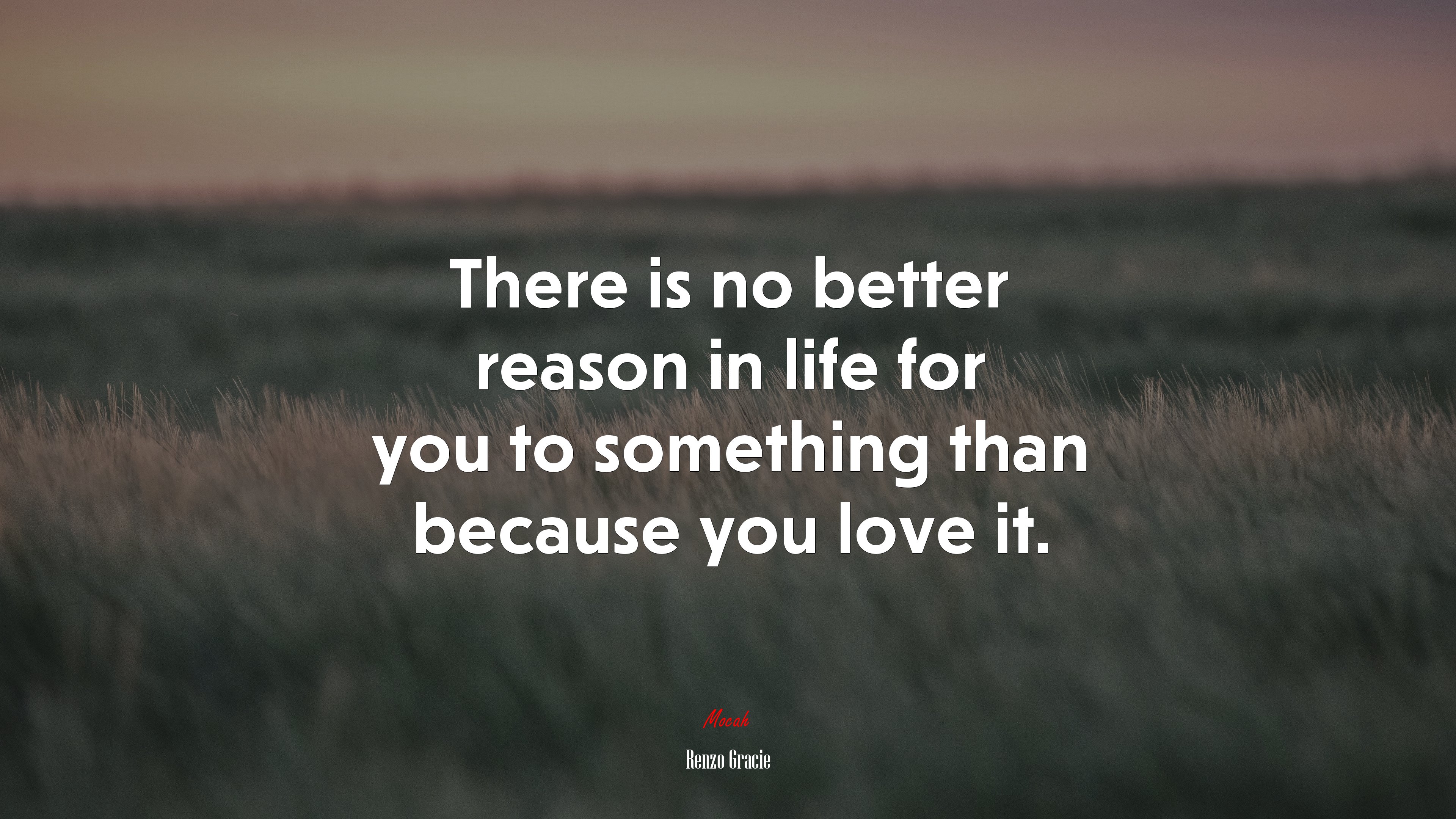 There is no better reason in life for you to something than because you love it. | Renzo Gracie quote HD Wallpaper