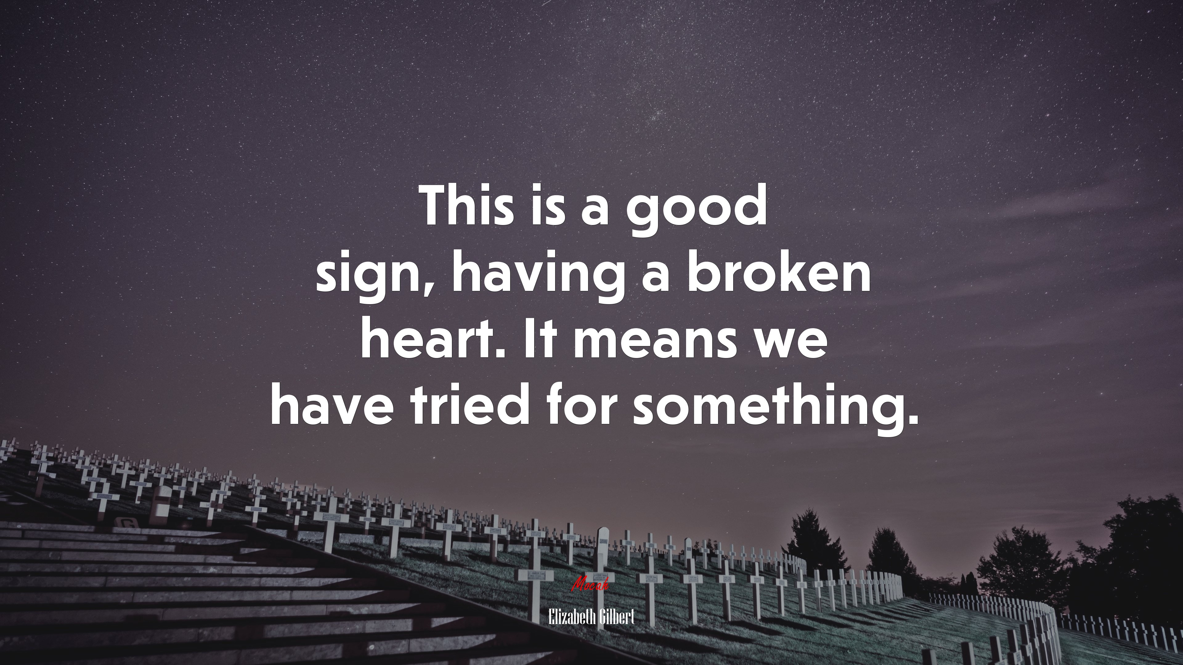 This is a good sign, having a broken heart. It means we have tried for something. | Elizabeth Gilbert quote HD Wallpaper