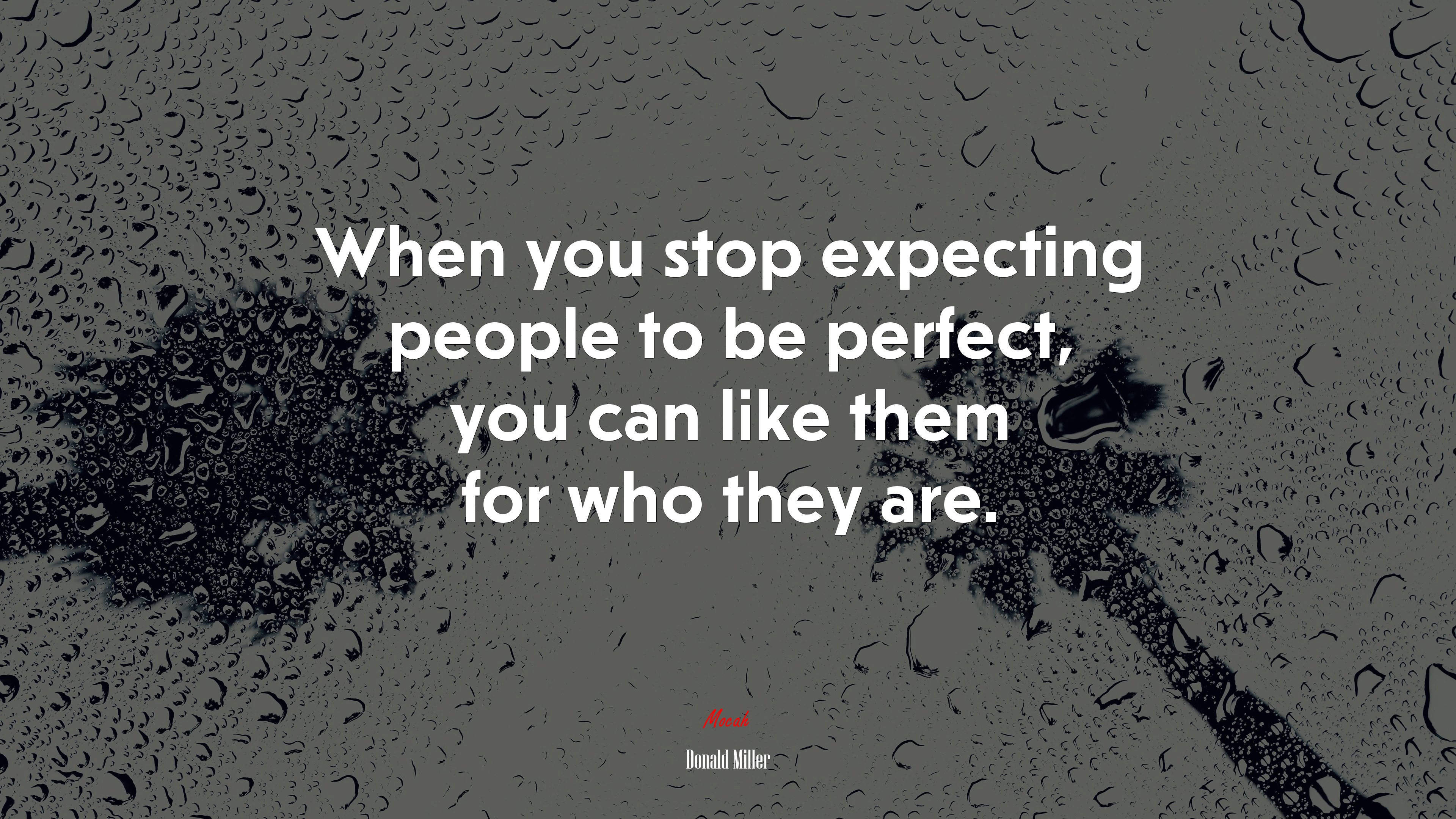 When you stop expecting people to be perfect, you can like them for who they are. | Donald Miller quote HD Wallpaper