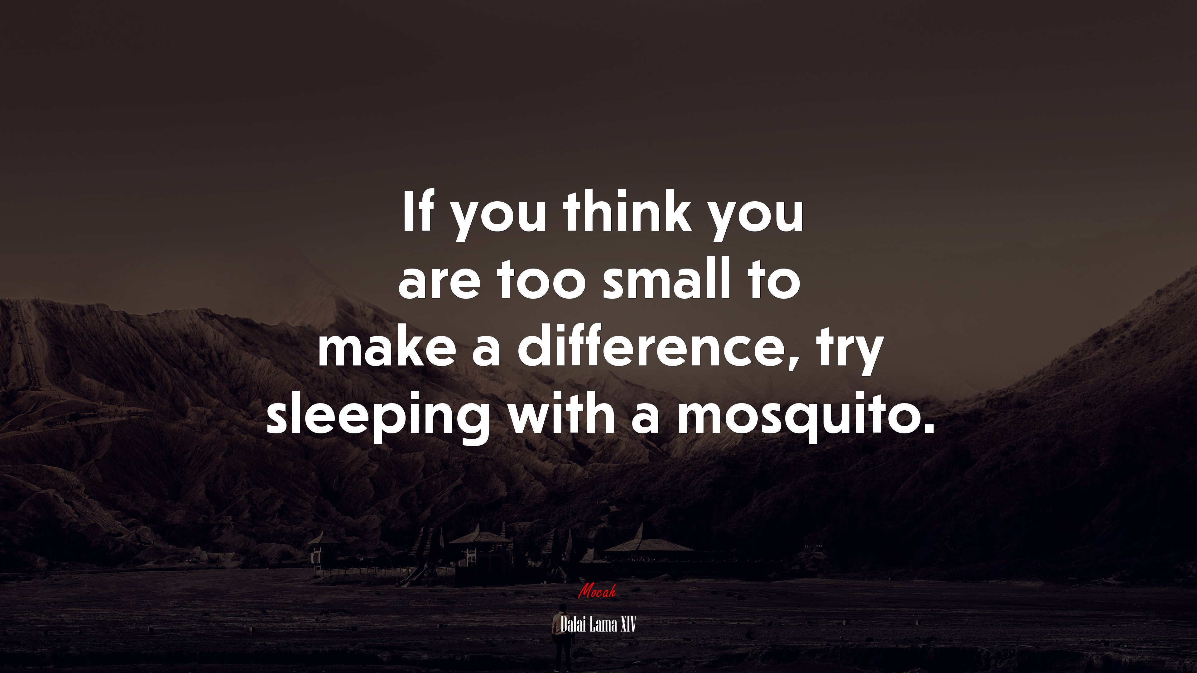 If you think you are too small to make a difference, try sleeping with a mosquito. | Dalai Lama XIV quote HD Wallpaper