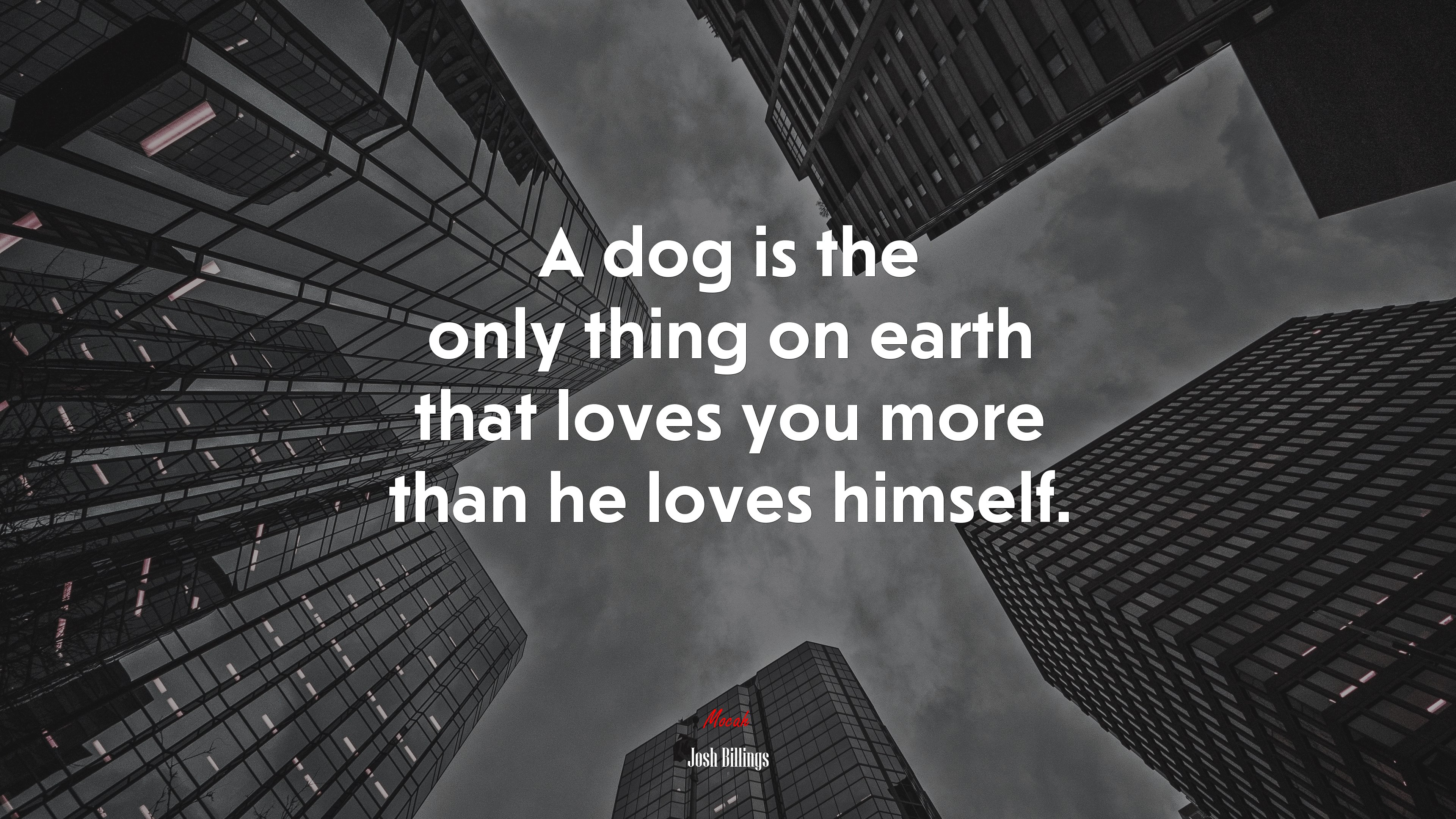 A dog is the only thing on earth that loves you more than he loves himself. | Josh Billings quote HD Wallpaper