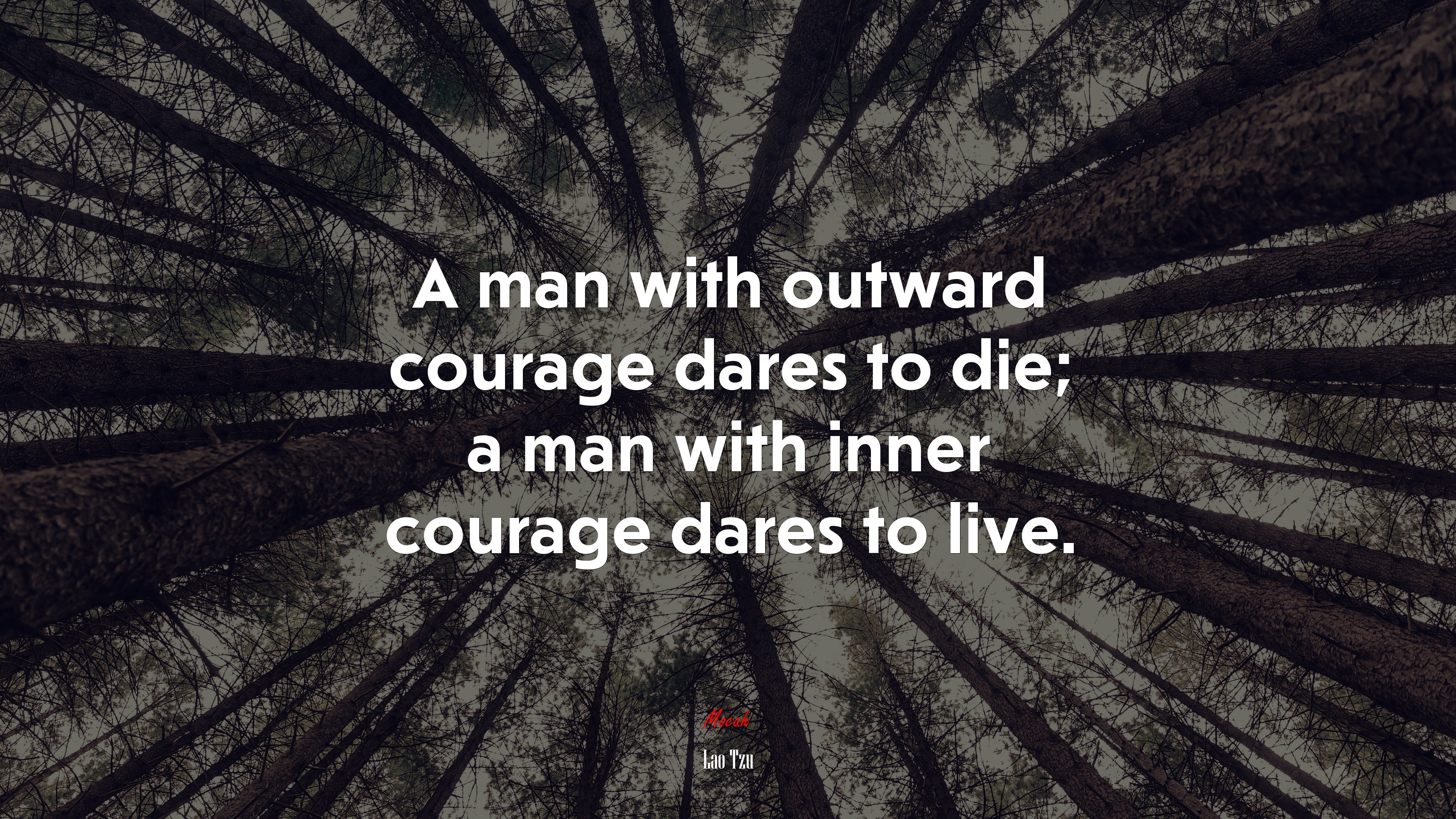 A man with outward courage dares to die; a man with inner courage dares to live. | Lao Tzu quote HD Wallpaper