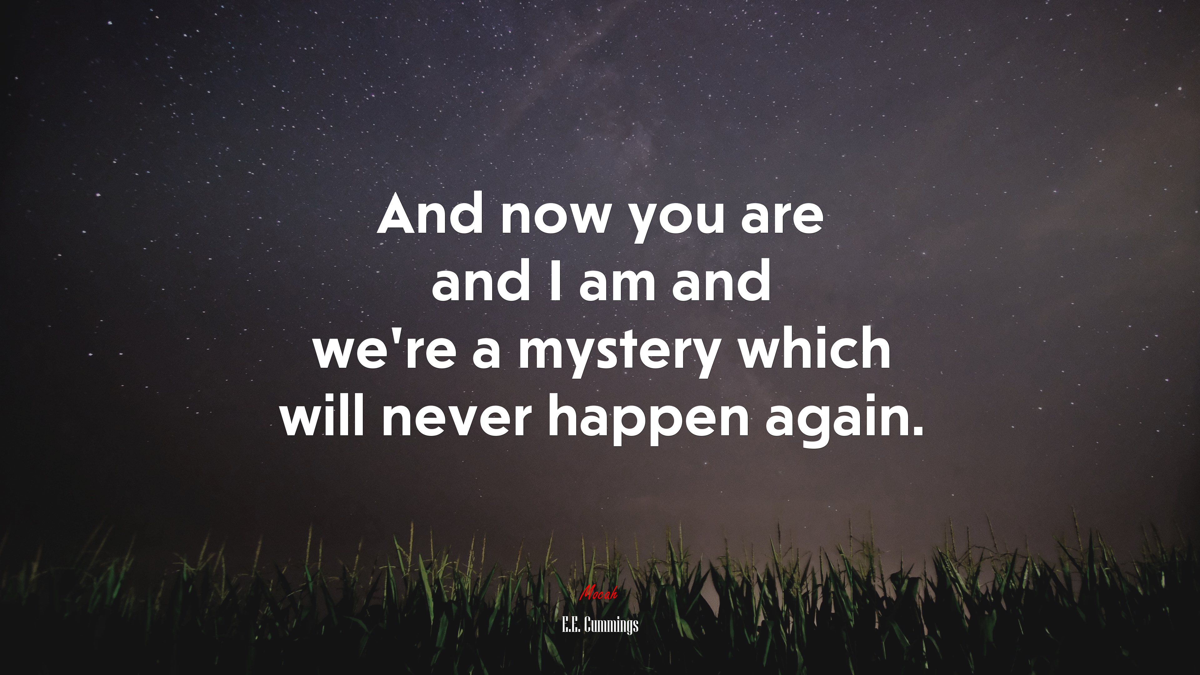 And now you are and I am and we’re a mystery which will never happen again. | E.E. Cummings quote HD Wallpaper