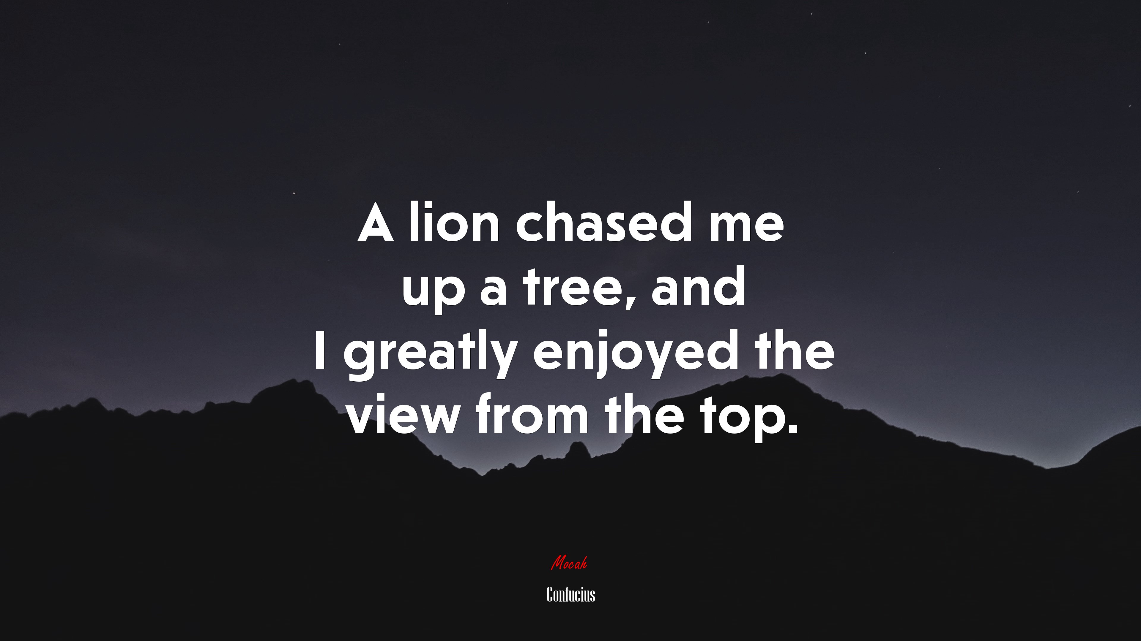 A lion chased me up a tree, and I greatly enjoyed the view from the top. | Confucius quote HD Wallpaper