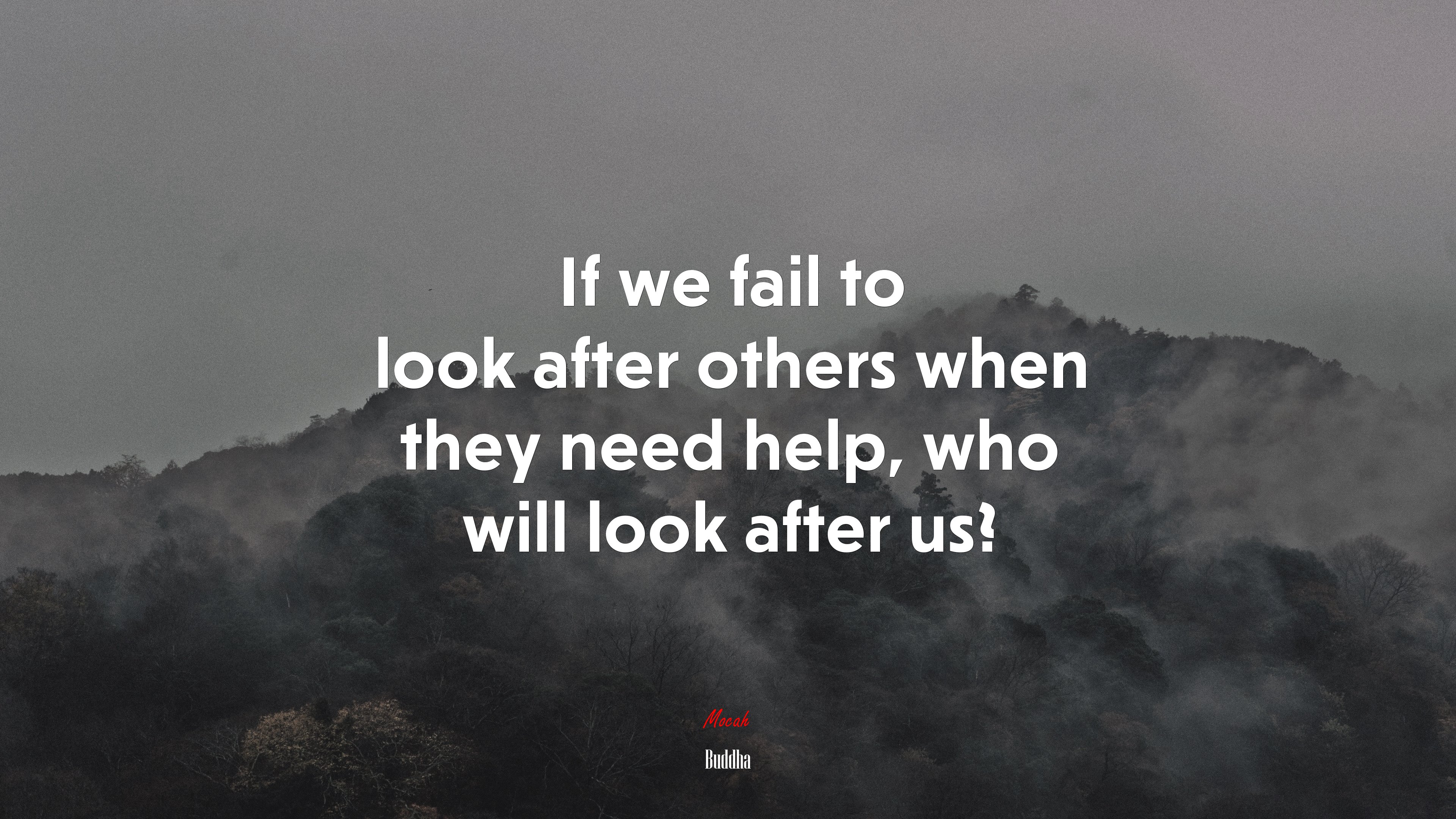 If we fail to look after others when they need help, who will look after us? | Buddha quote HD Wallpaper