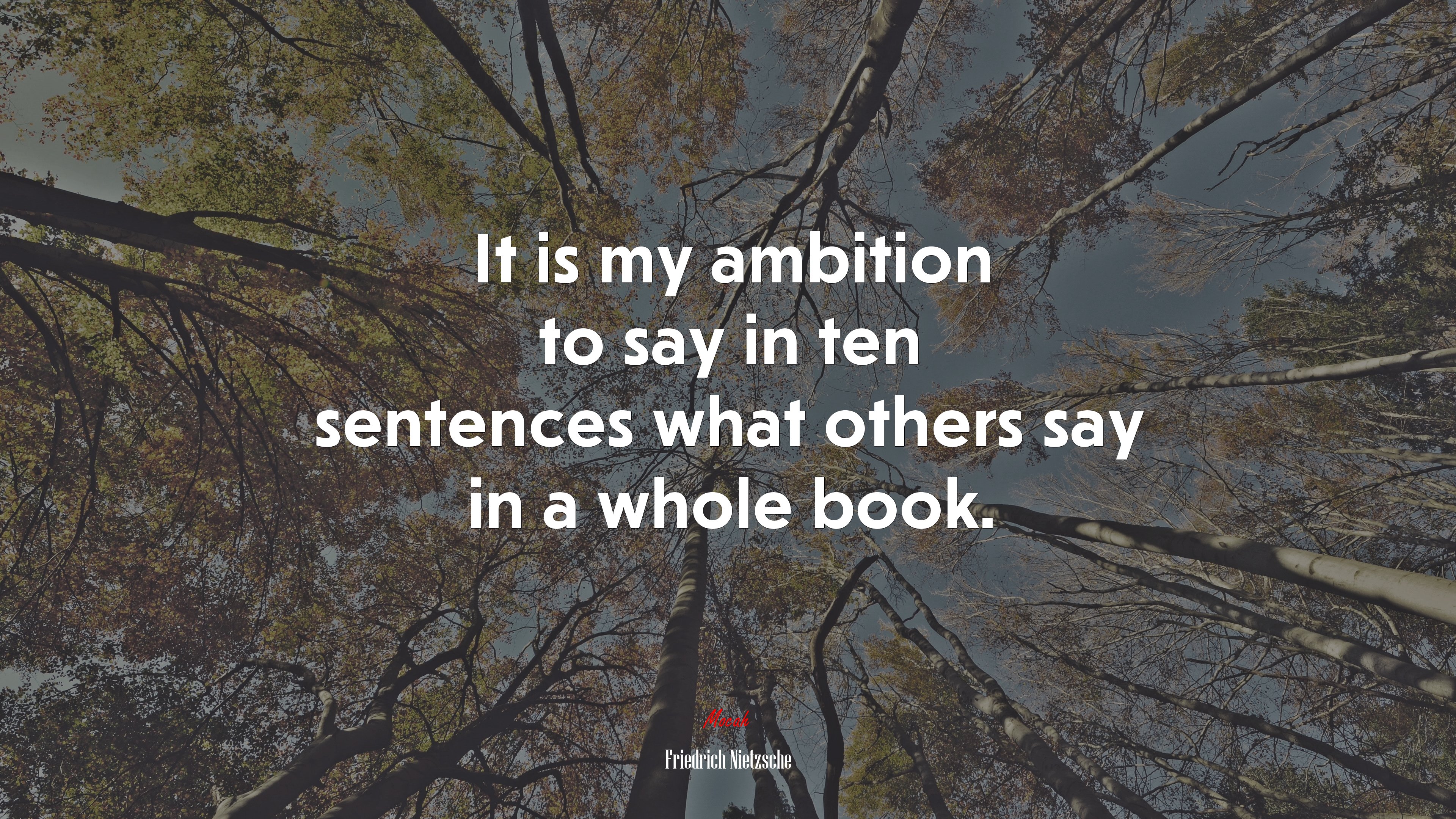 It is my ambition to say in ten sentences what others say in a whole book. | Friedrich Nietzsche quote HD Wallpaper