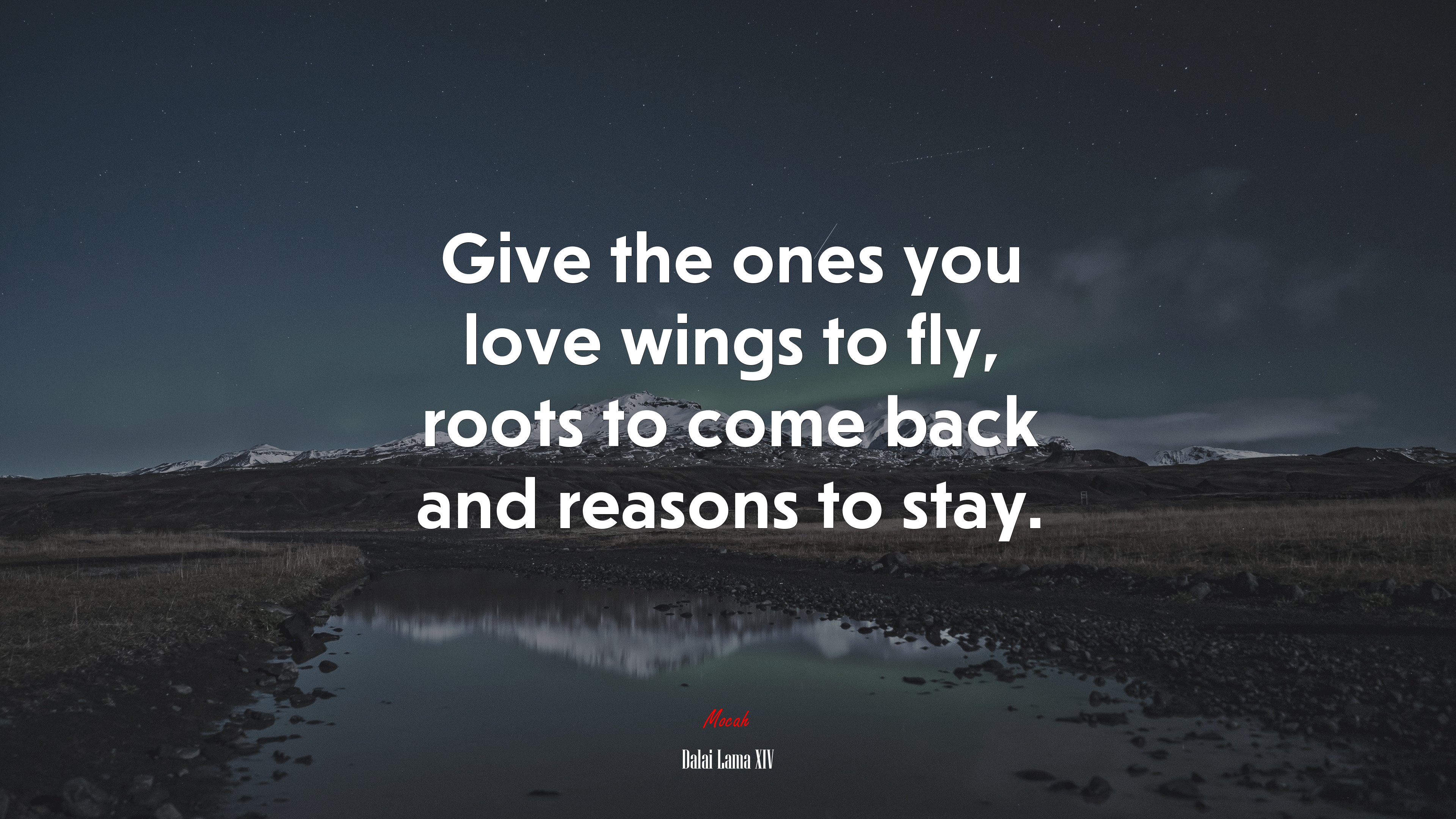 Give the ones you love wings to fly, roots to come back and reasons to stay. | Dalai Lama XIV quote HD Wallpaper