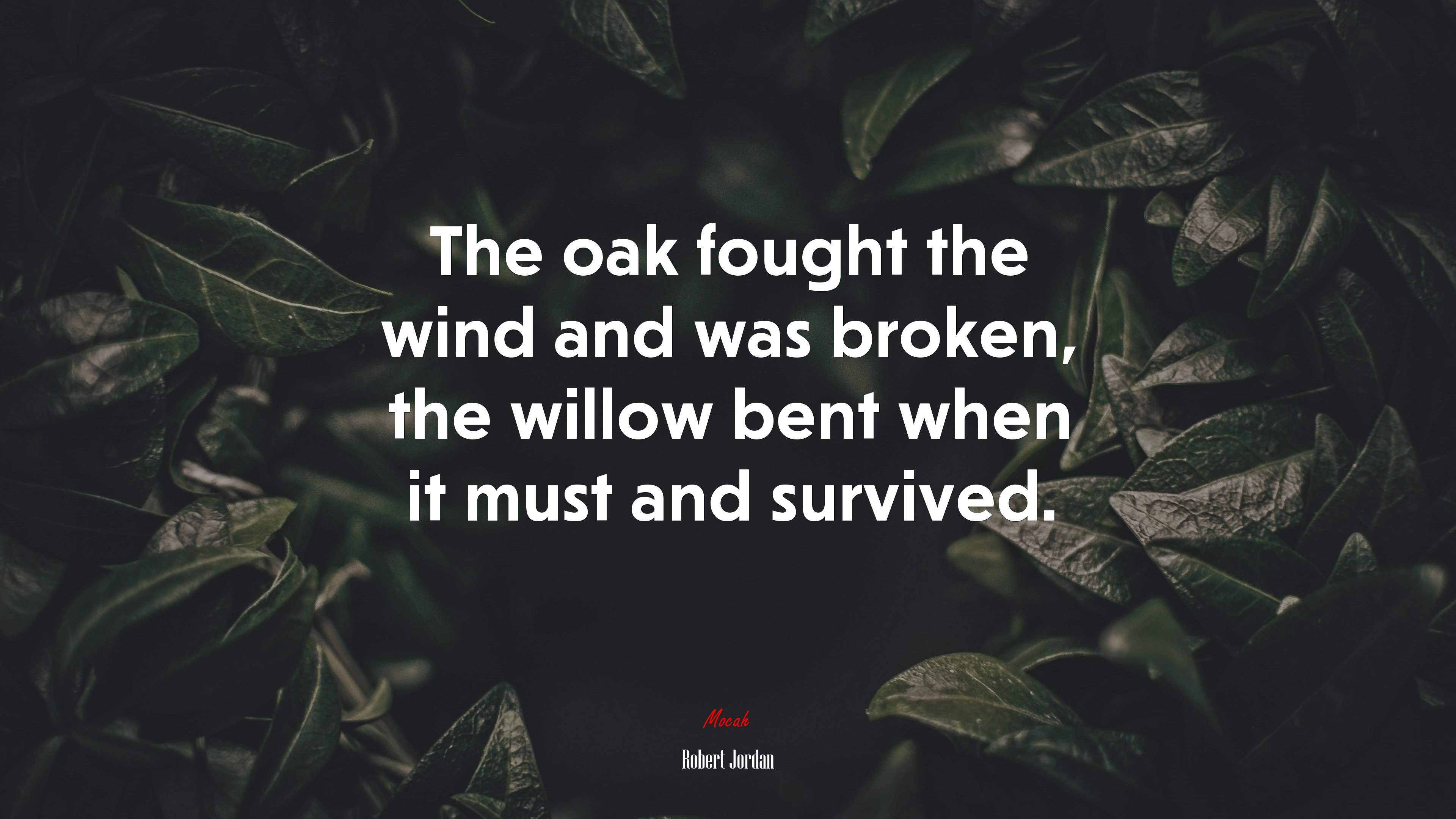 The oak fought the wind and was broken, the willow bent when it must and survived. | Robert Jordan quote HD Wallpaper