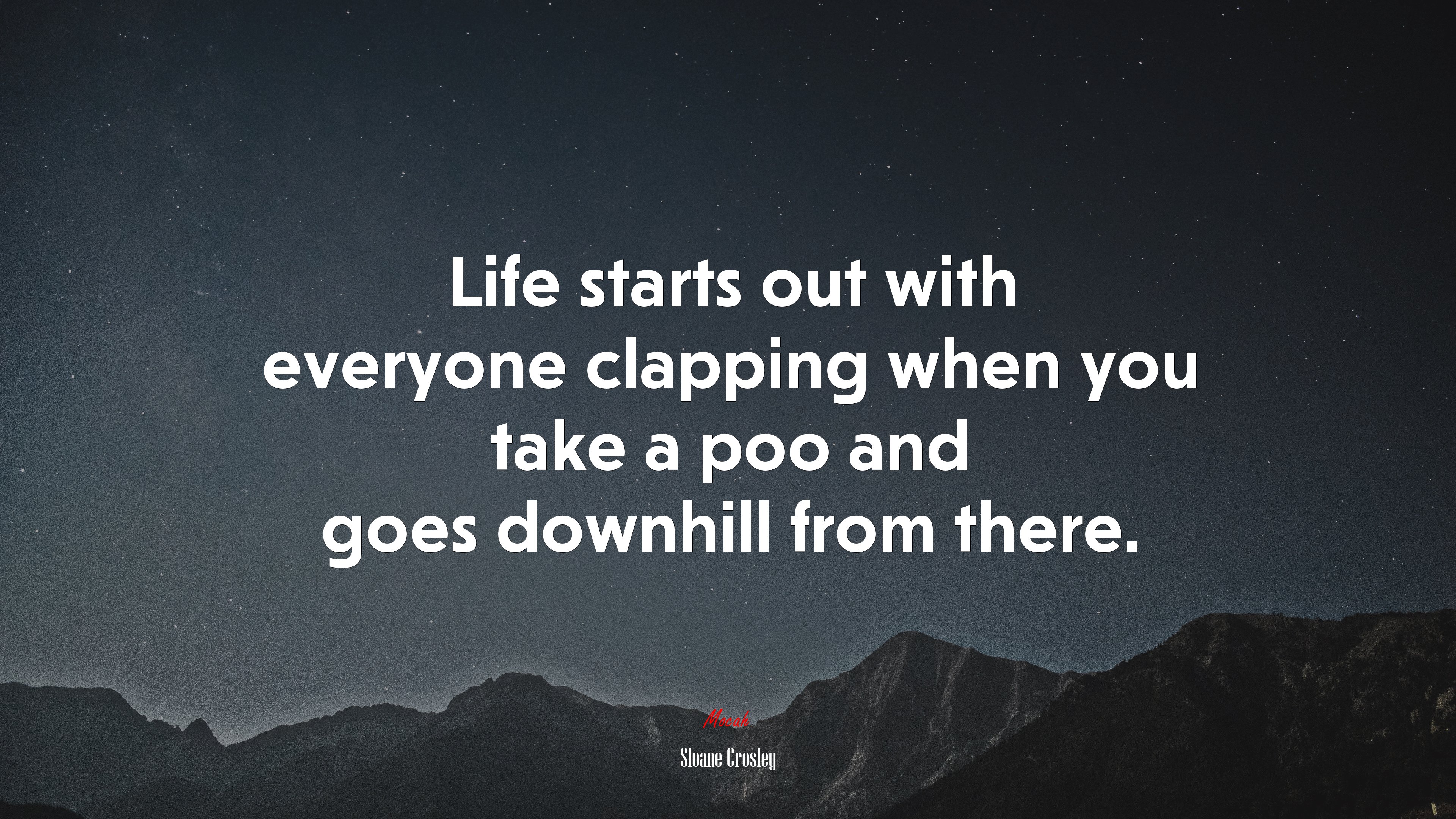 Life starts out with everyone clapping when you take a poo and goes downhill from there. | Sloane Crosley quote HD Wallpaper