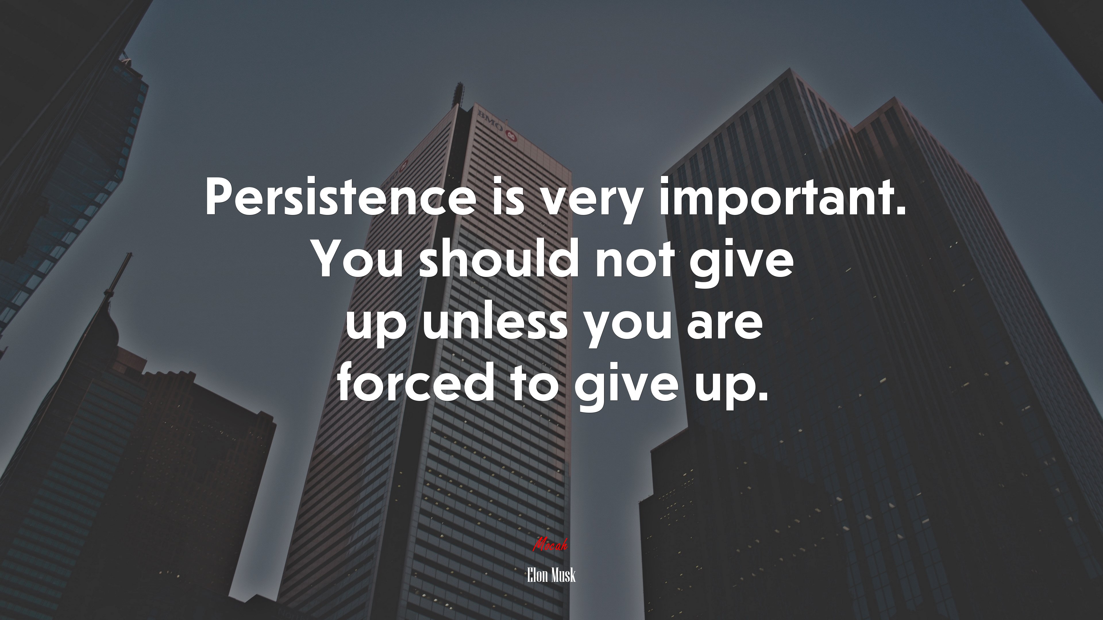 Persistence is very important. You should not give up unless you are forced to give up. | Elon Musk quote HD Wallpaper