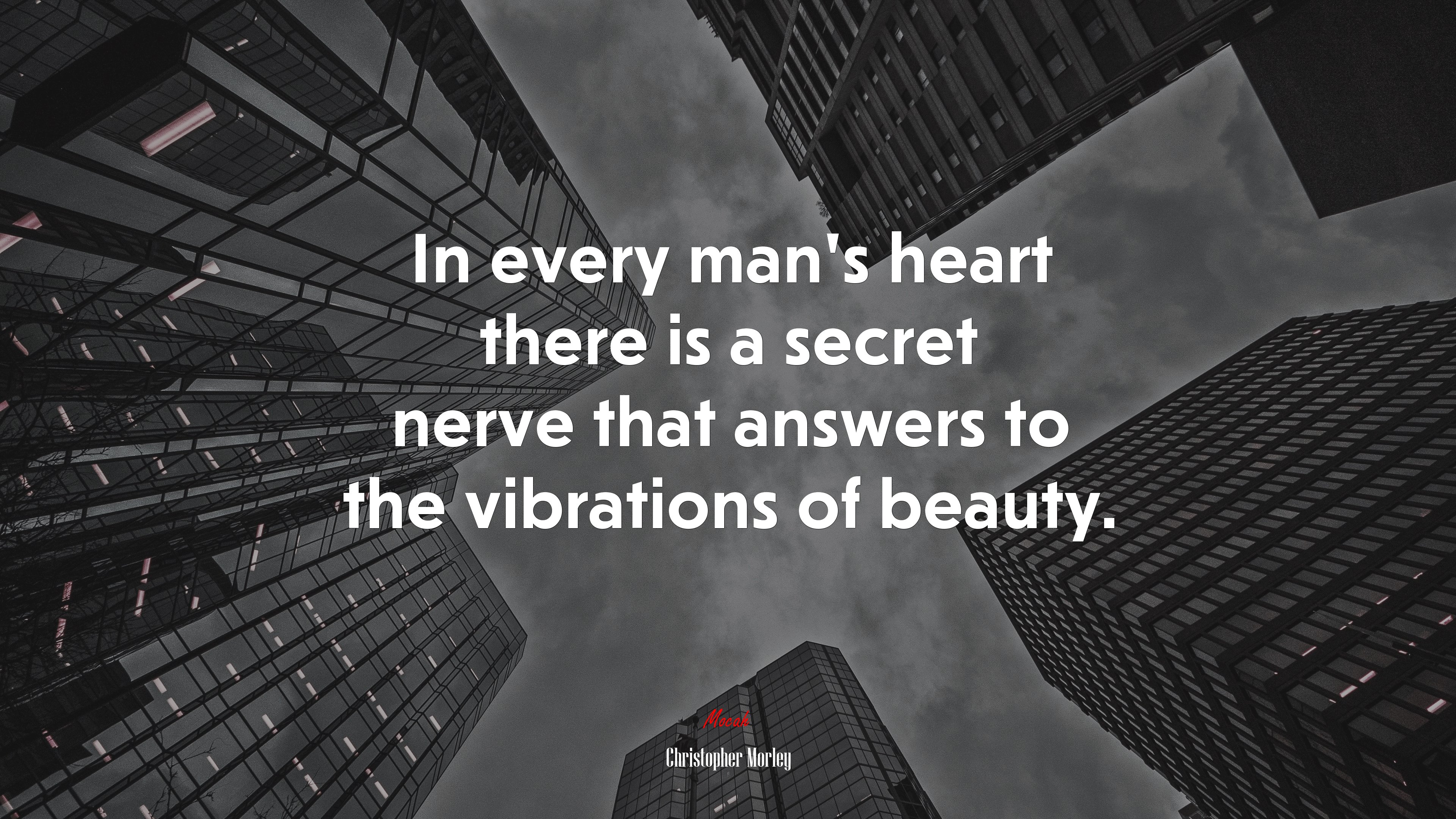 In every man’s heart there is a secret nerve that answers to the vibrations of beauty. | Christopher Morley quote HD Wallpaper