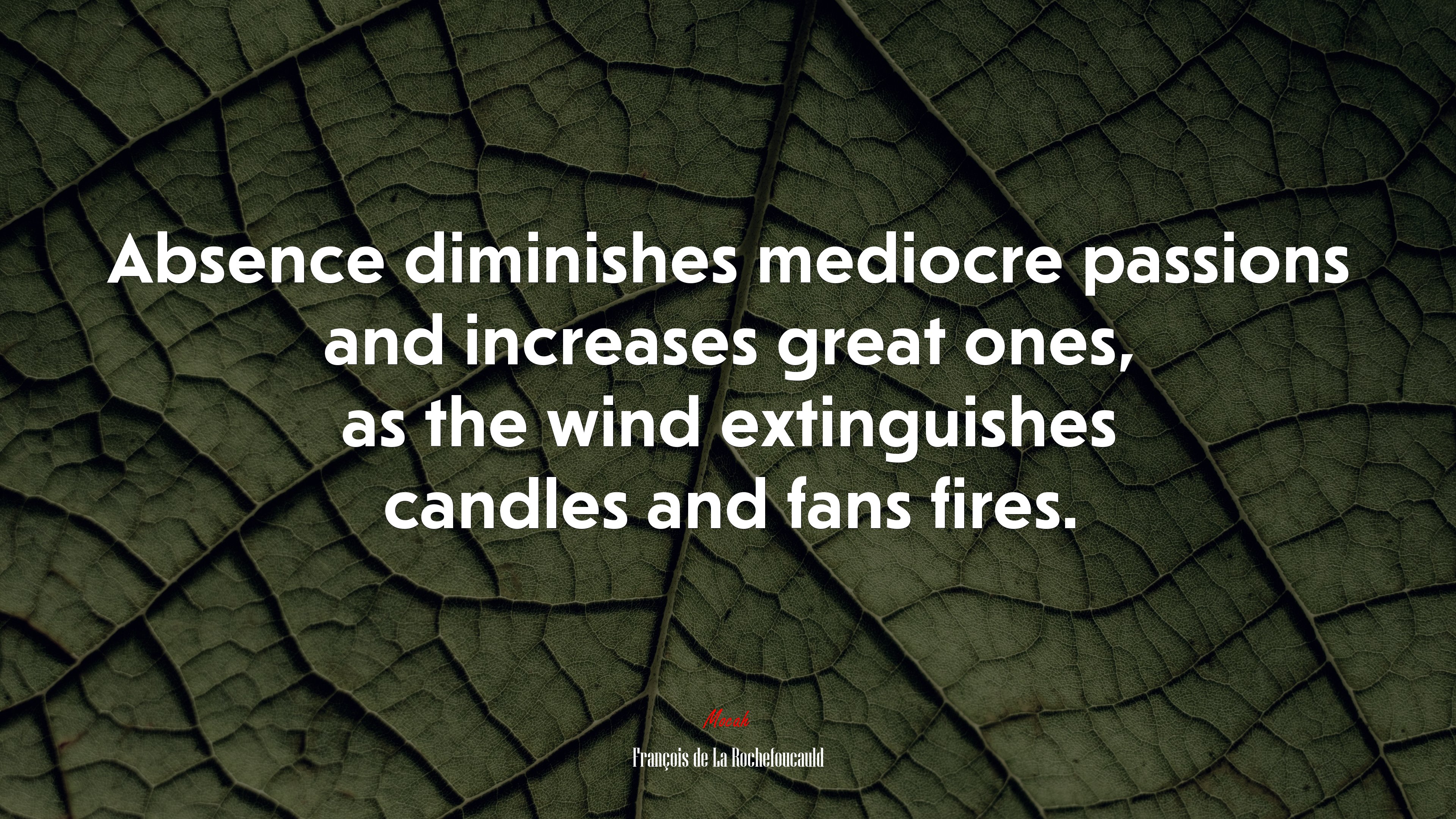 Absence diminishes mediocre passions and increases great ones, as the wind extinguishes candles and fans fires. | François de La Rochefoucauld quote HD Wallpaper
