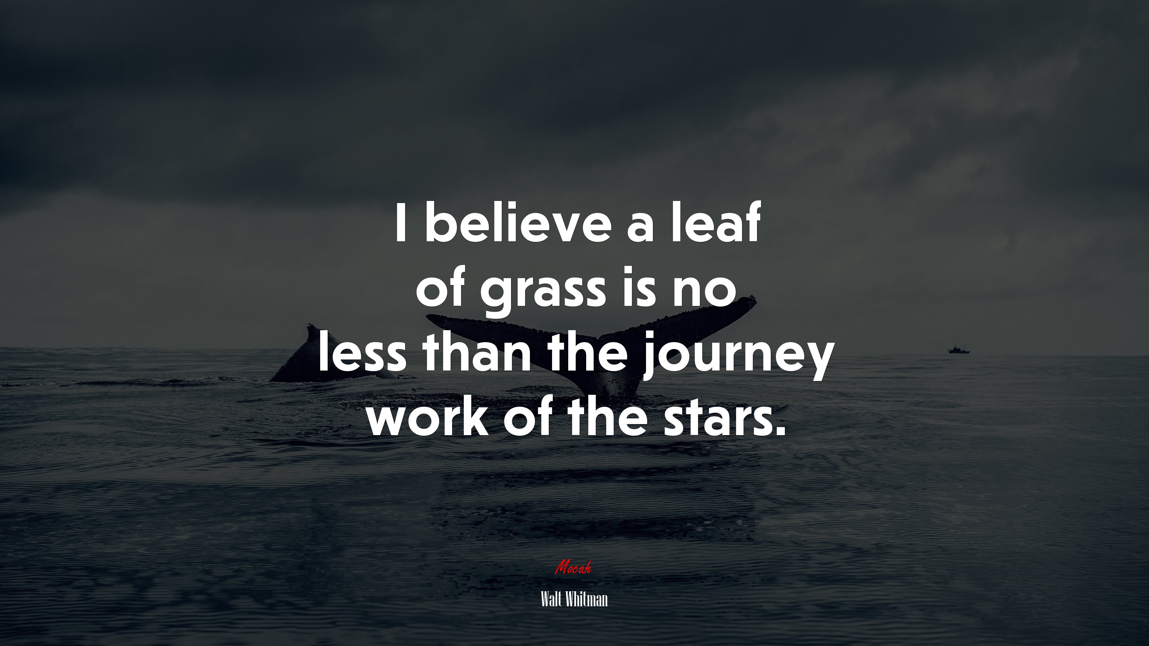 I believe a leaf of grass is no less than the journey work of the stars. | Walt Whitman quote HD Wallpaper
