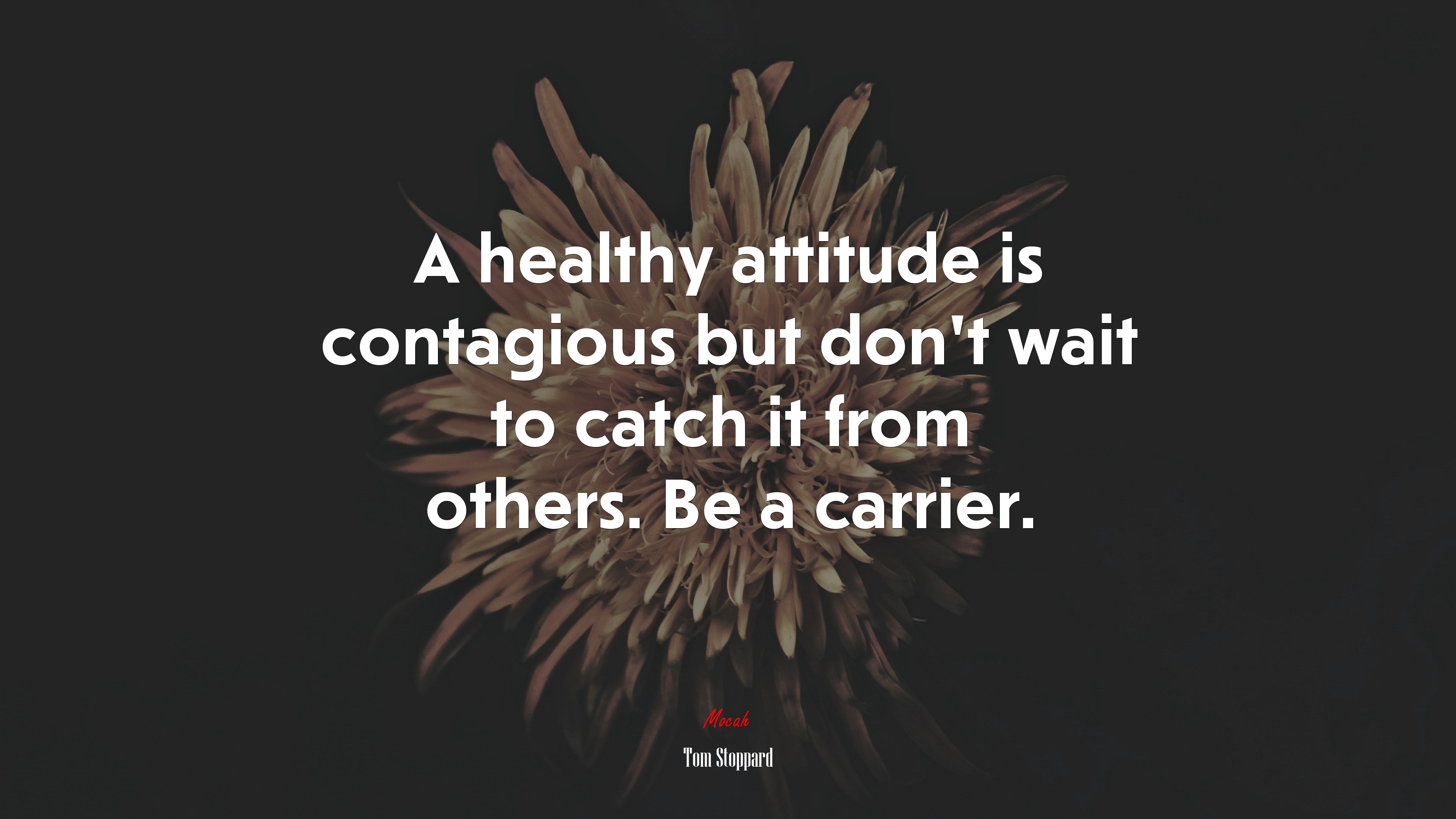 A healthy attitude is contagious but don’t wait to catch it from others. Be a carrier. | Tom Stoppard quote HD Wallpaper