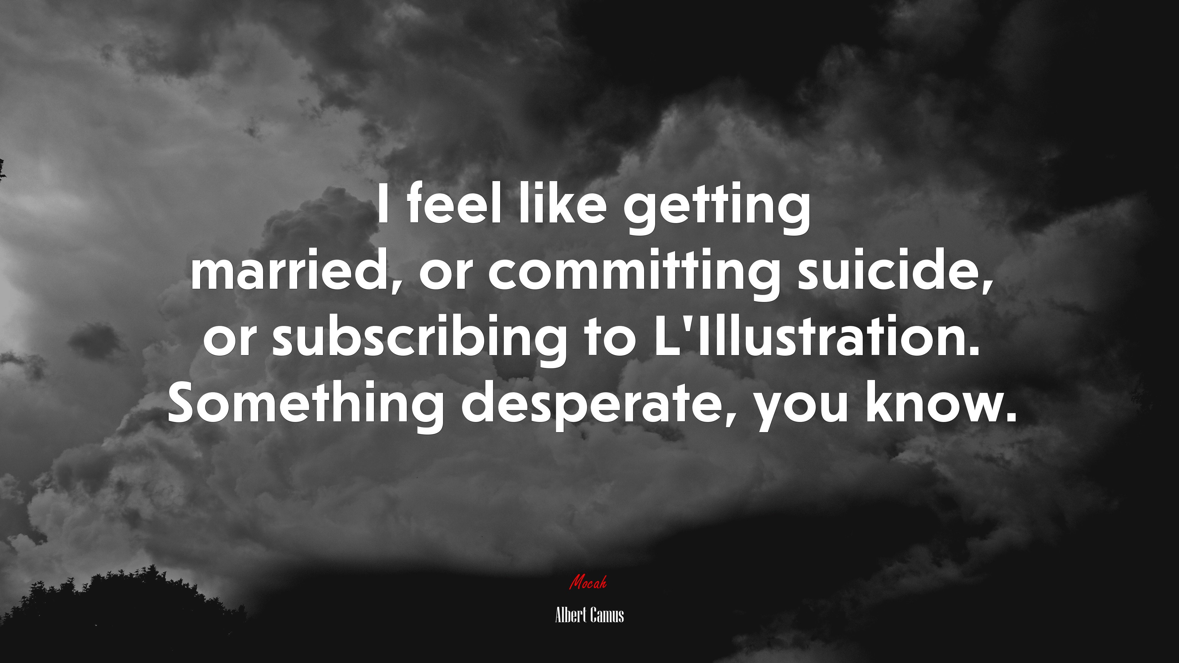 I feel like getting married, or committing suicide, or subscribing to L’Illustration. Something desperate, you know. | Albert Camus quote HD Wallpaper