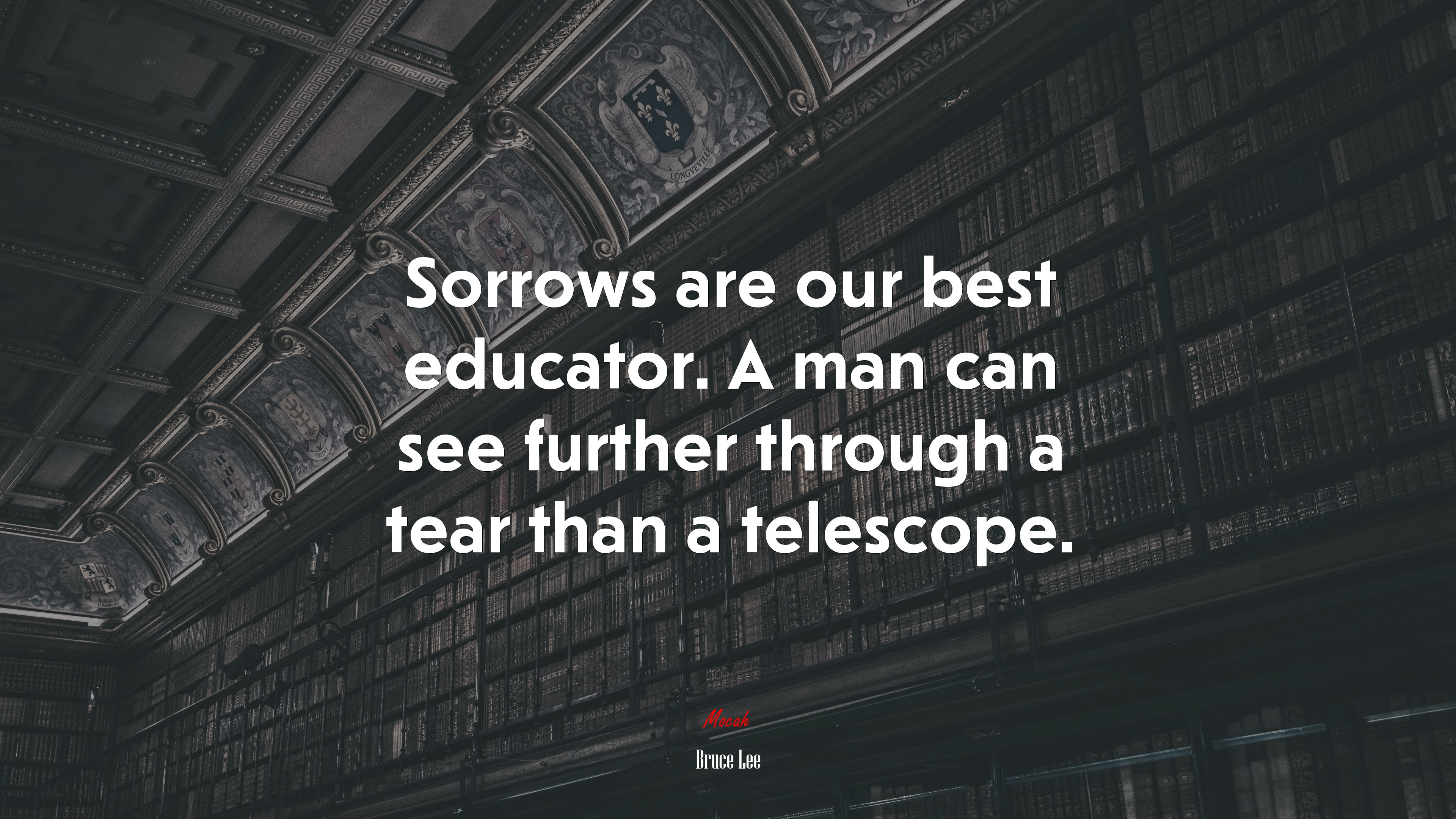 Sorrows are our best educator. A man can see further through a tear than a telescope. | Bruce Lee quote HD Wallpaper