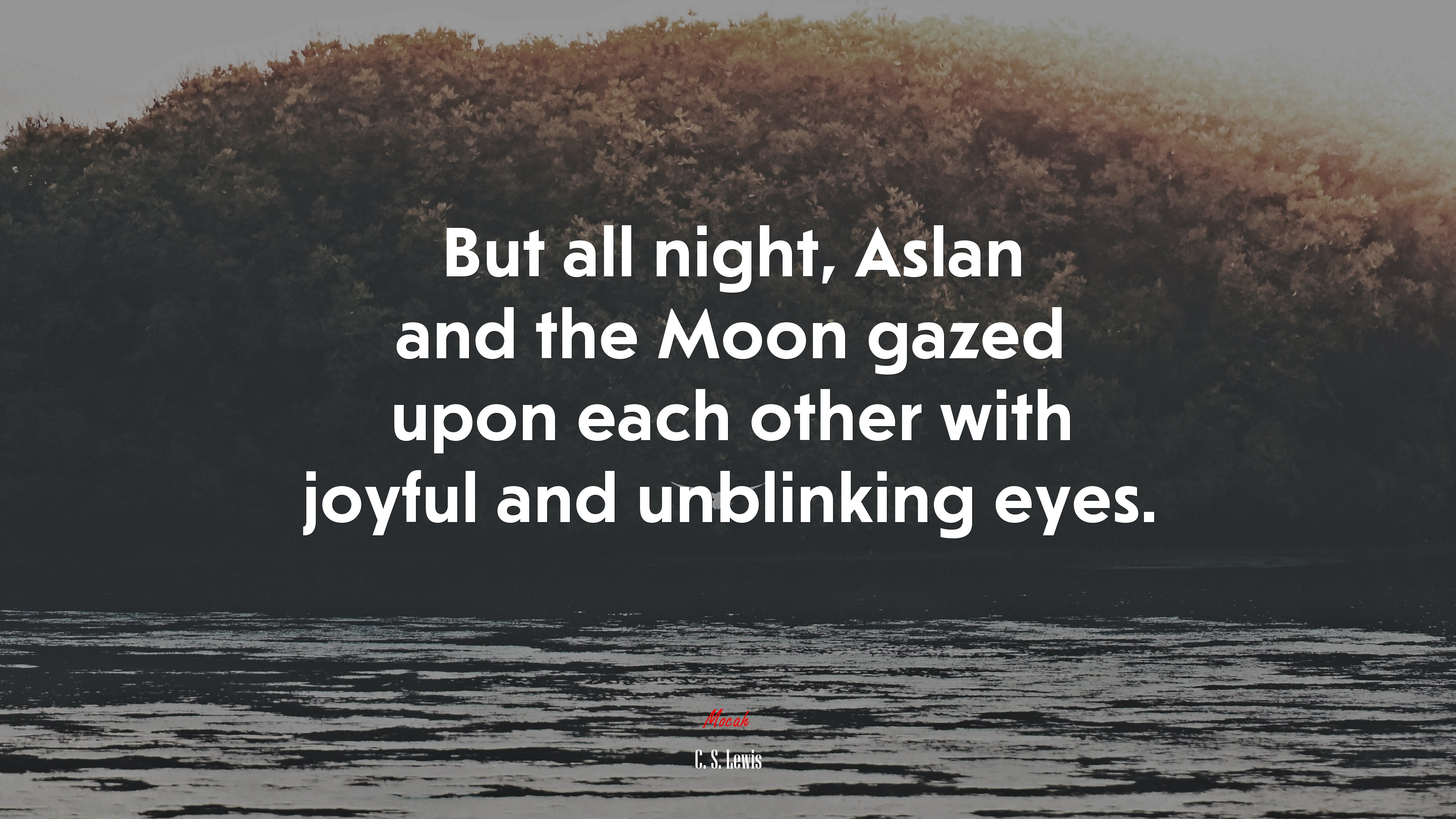 But all night, Aslan and the Moon gazed upon each other with joyful and unblinking eyes. | C. S. Lewis quote HD Wallpaper