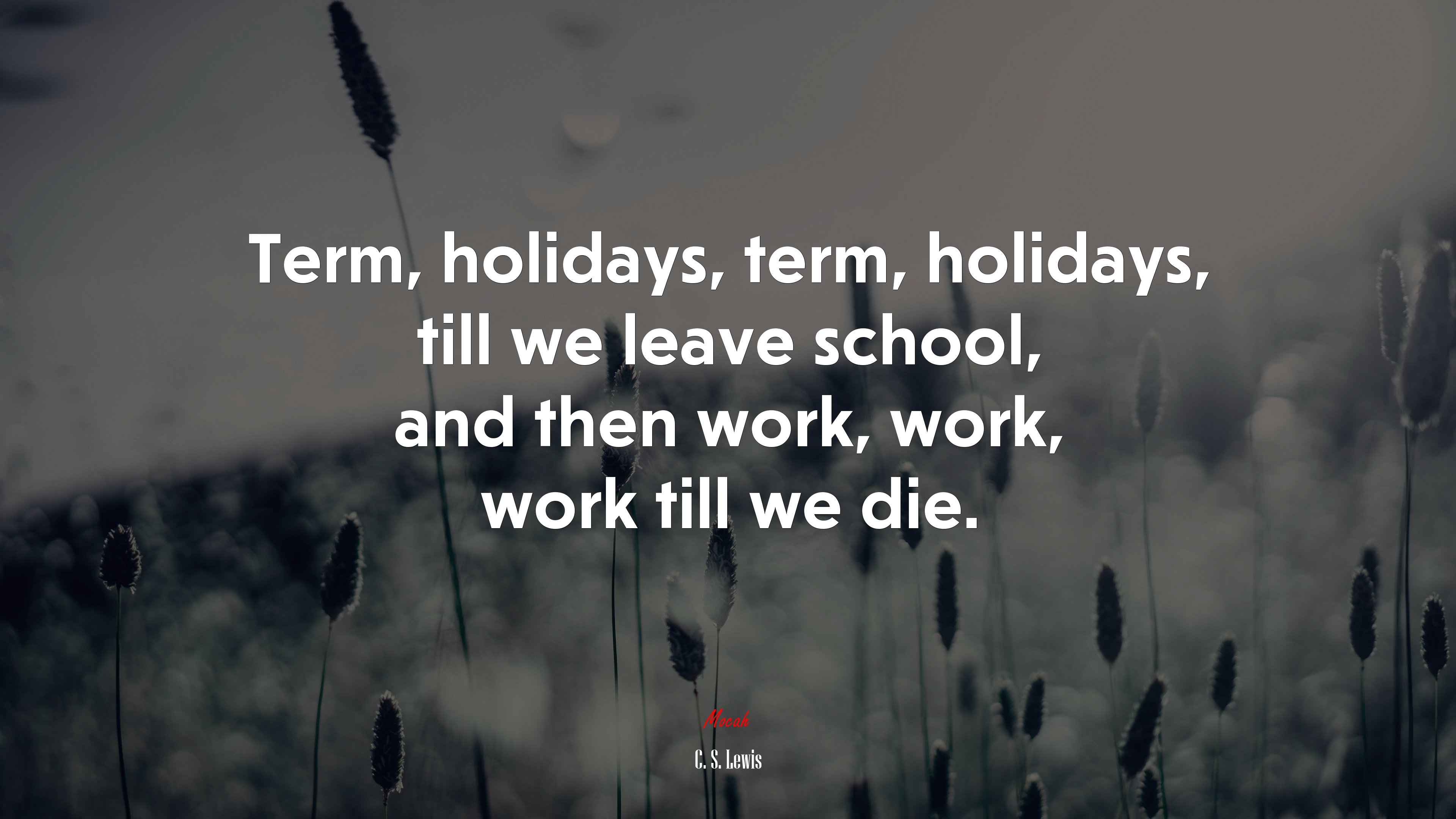 Term, holidays, term, holidays, till we leave school, and then work, work, work till we die. | C. S. Lewis quote HD Wallpaper