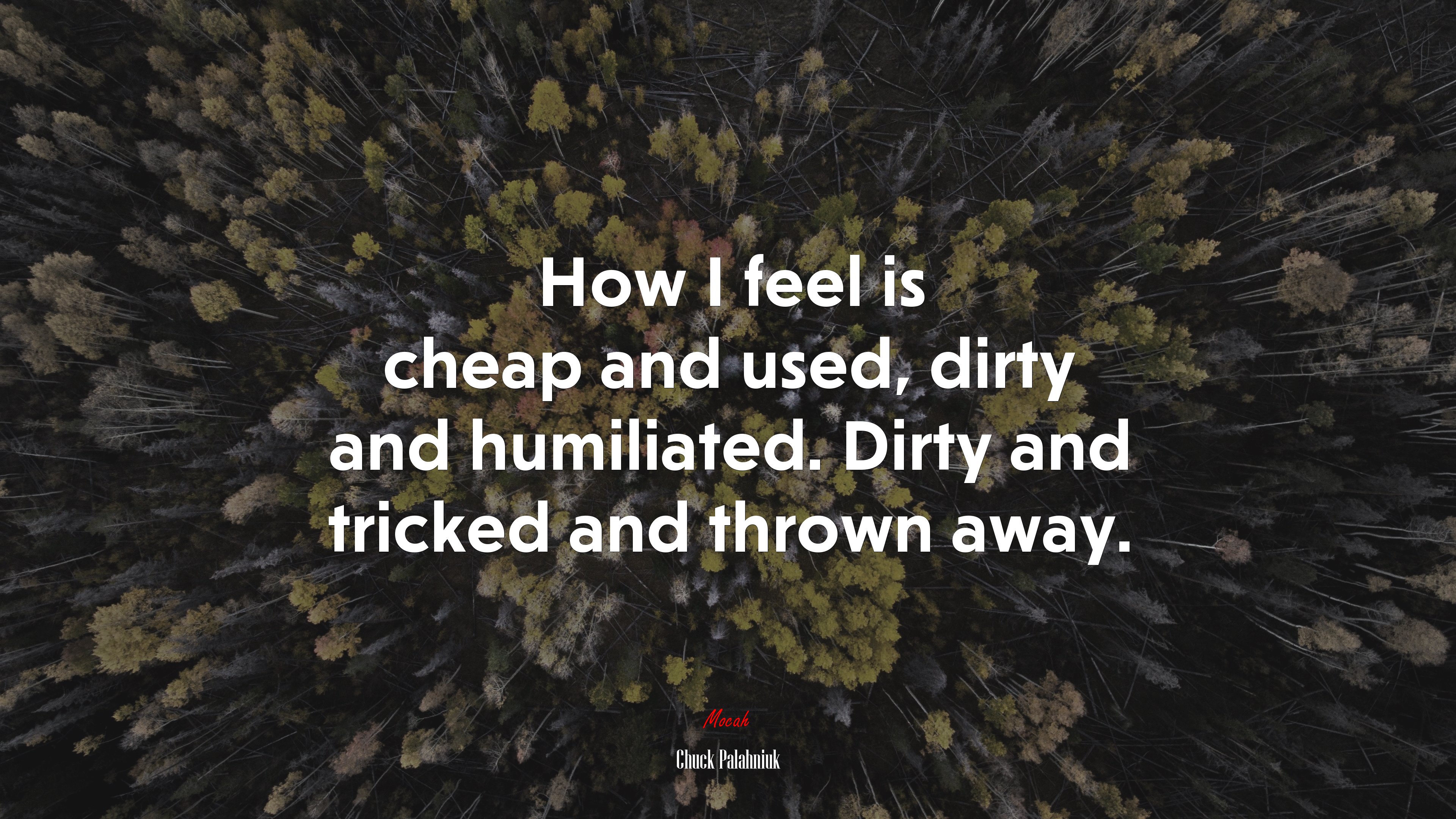 How I feel is cheap and used, dirty and humiliated. Dirty and tricked and thrown away. | Chuck Palahniuk quote HD Wallpaper