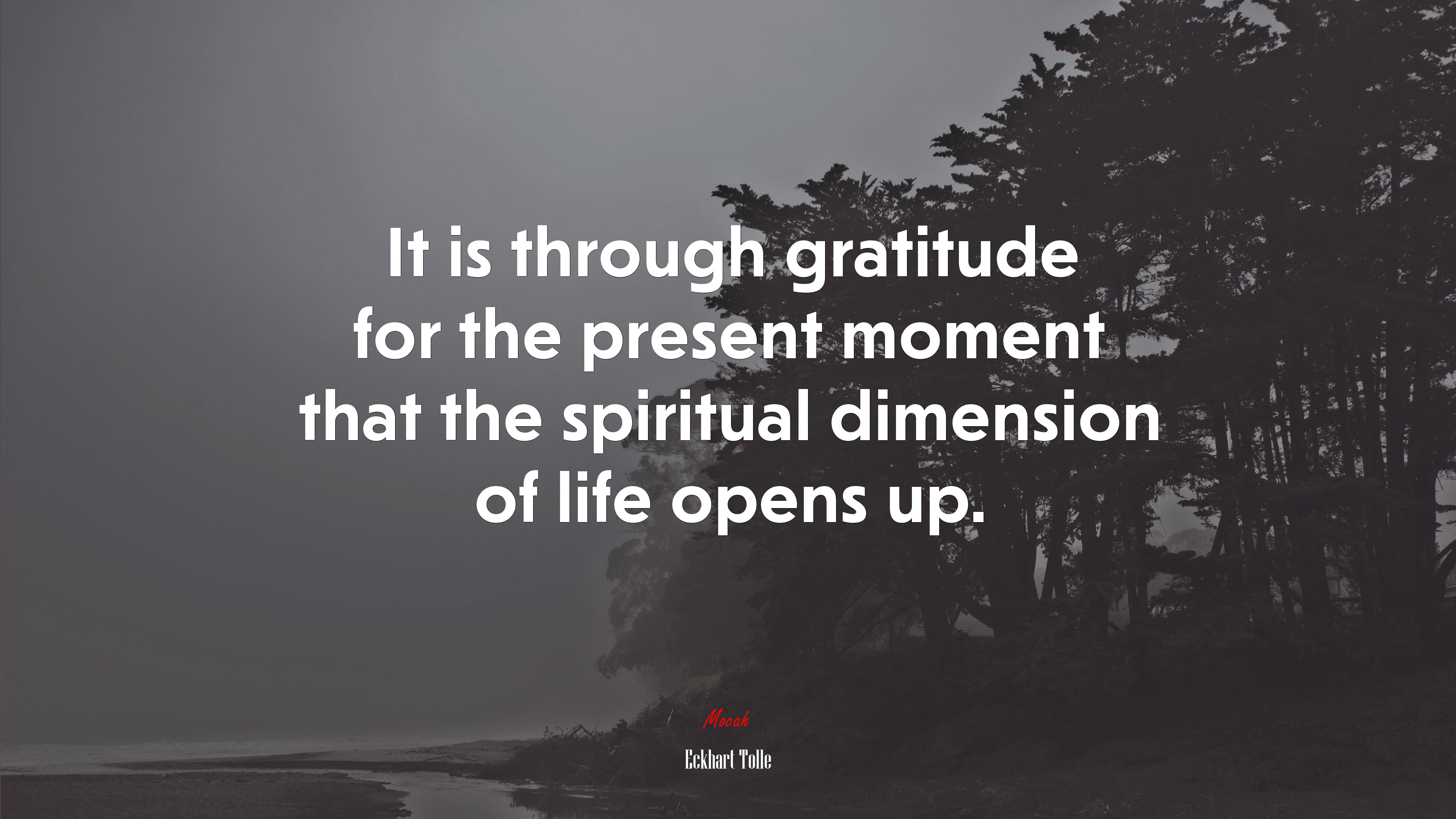 It is through gratitude for the present moment that the spiritual dimension of life opens up. | Eckhart Tolle quote HD Wallpaper