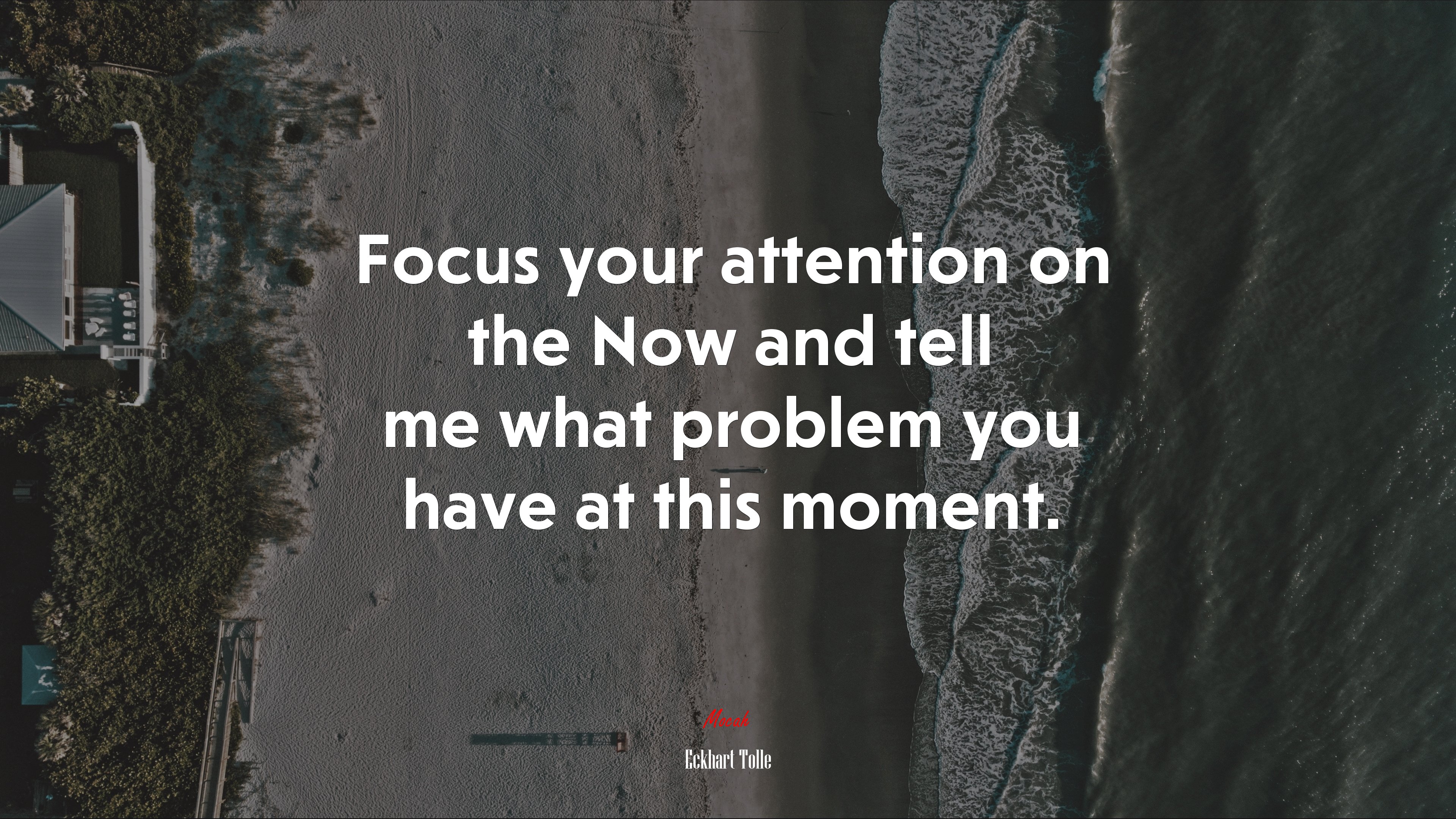 Focus your attention on the Now and tell me what problem you have at this moment. | Eckhart Tolle quote HD Wallpaper