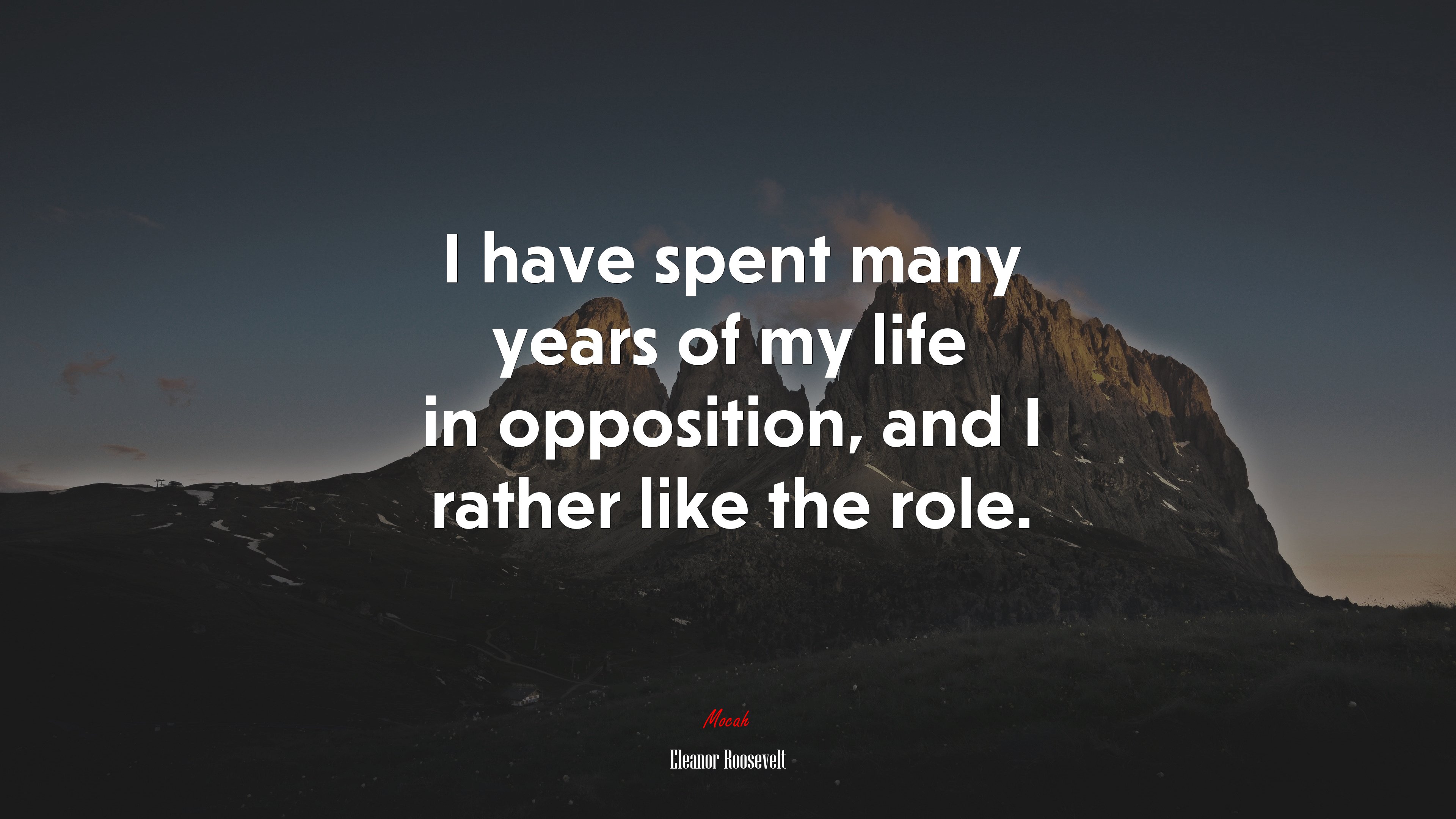 I have spent many years of my life in opposition, and I rather like the role. | Eleanor Roosevelt quote HD Wallpaper