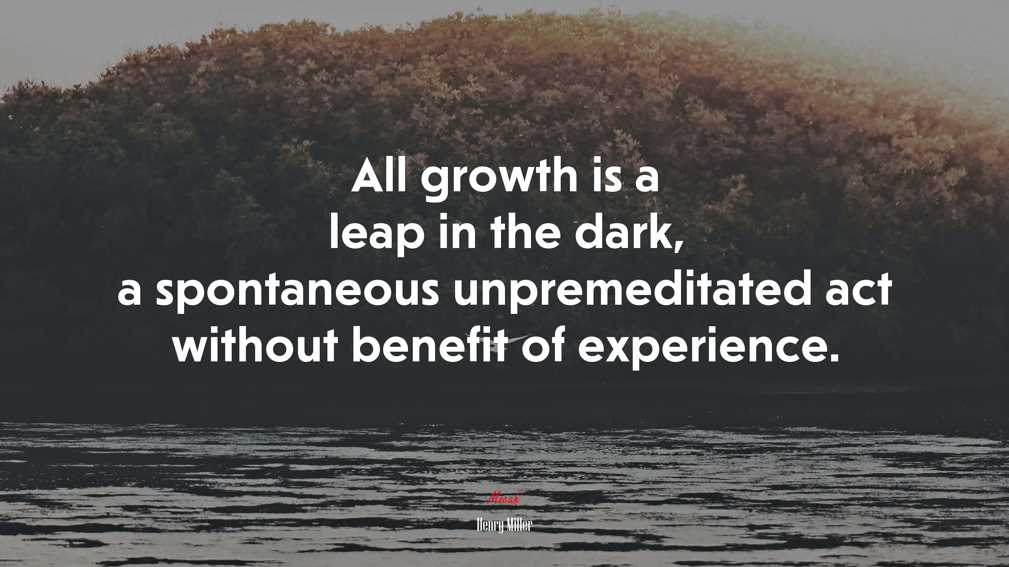 All growth is a leap in the dark, a spontaneous unpremeditated act without benefit of experience. | Henry Miller quote HD Wallpaper